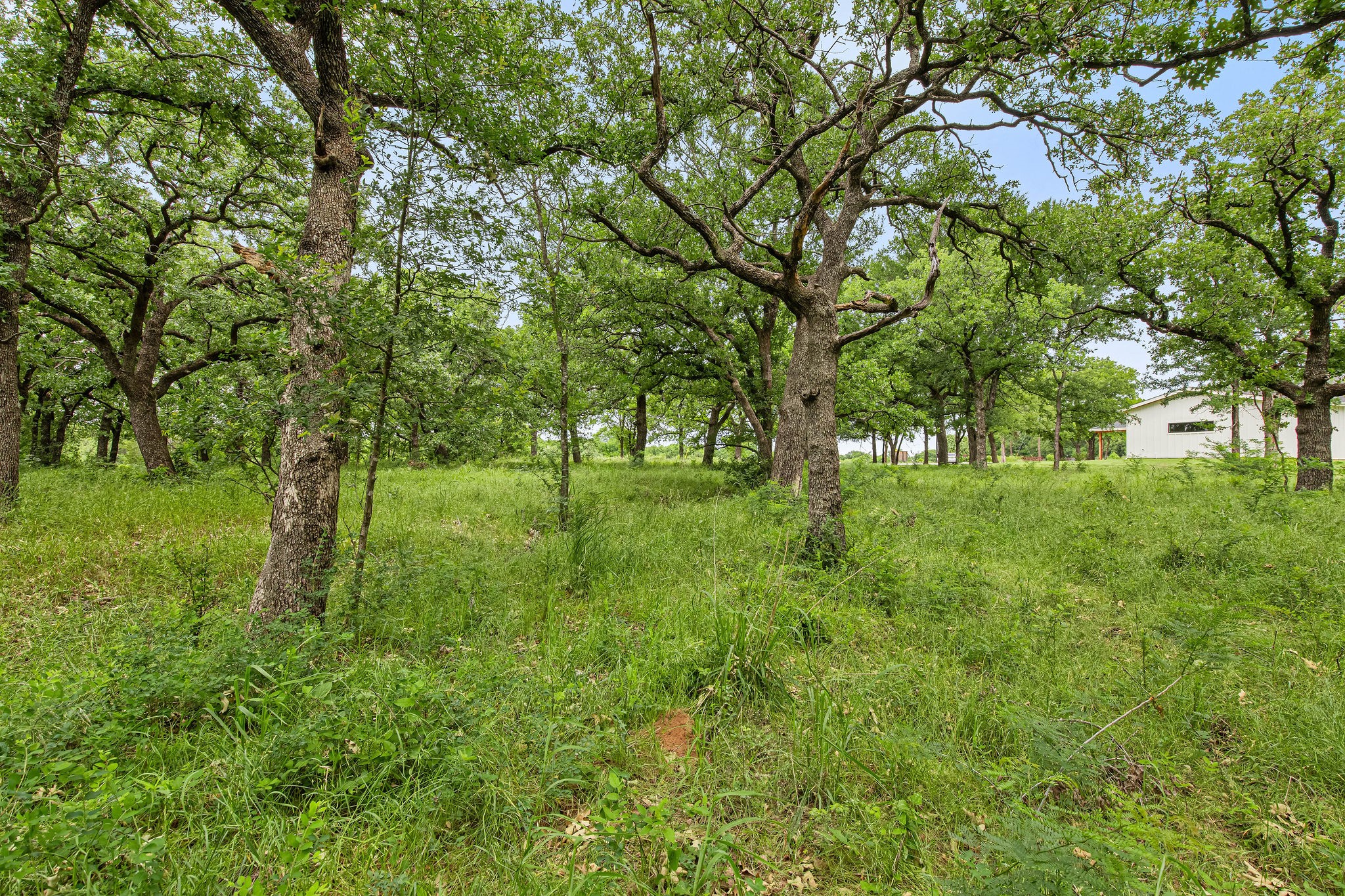1999 Sunflower Road Paradise TX 76073