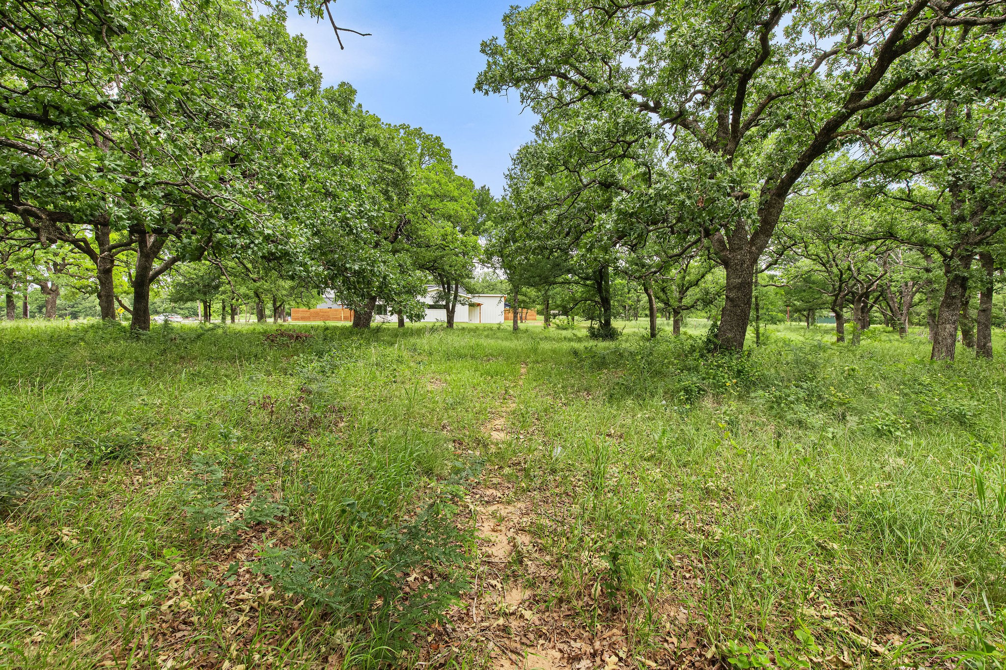 1999 Sunflower Road Paradise TX 76073