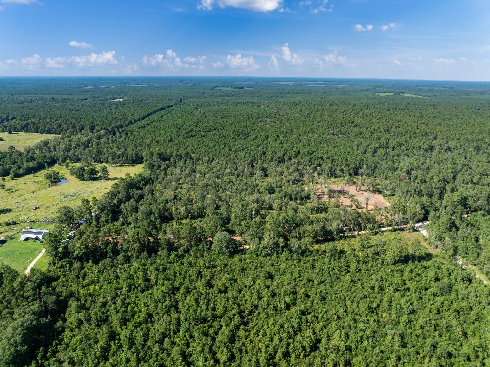 262 Maze Road Livingston TX 77351