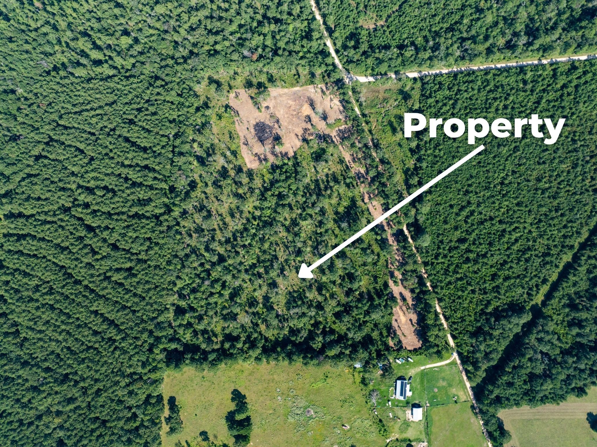 262 Maze Road Livingston TX 77351