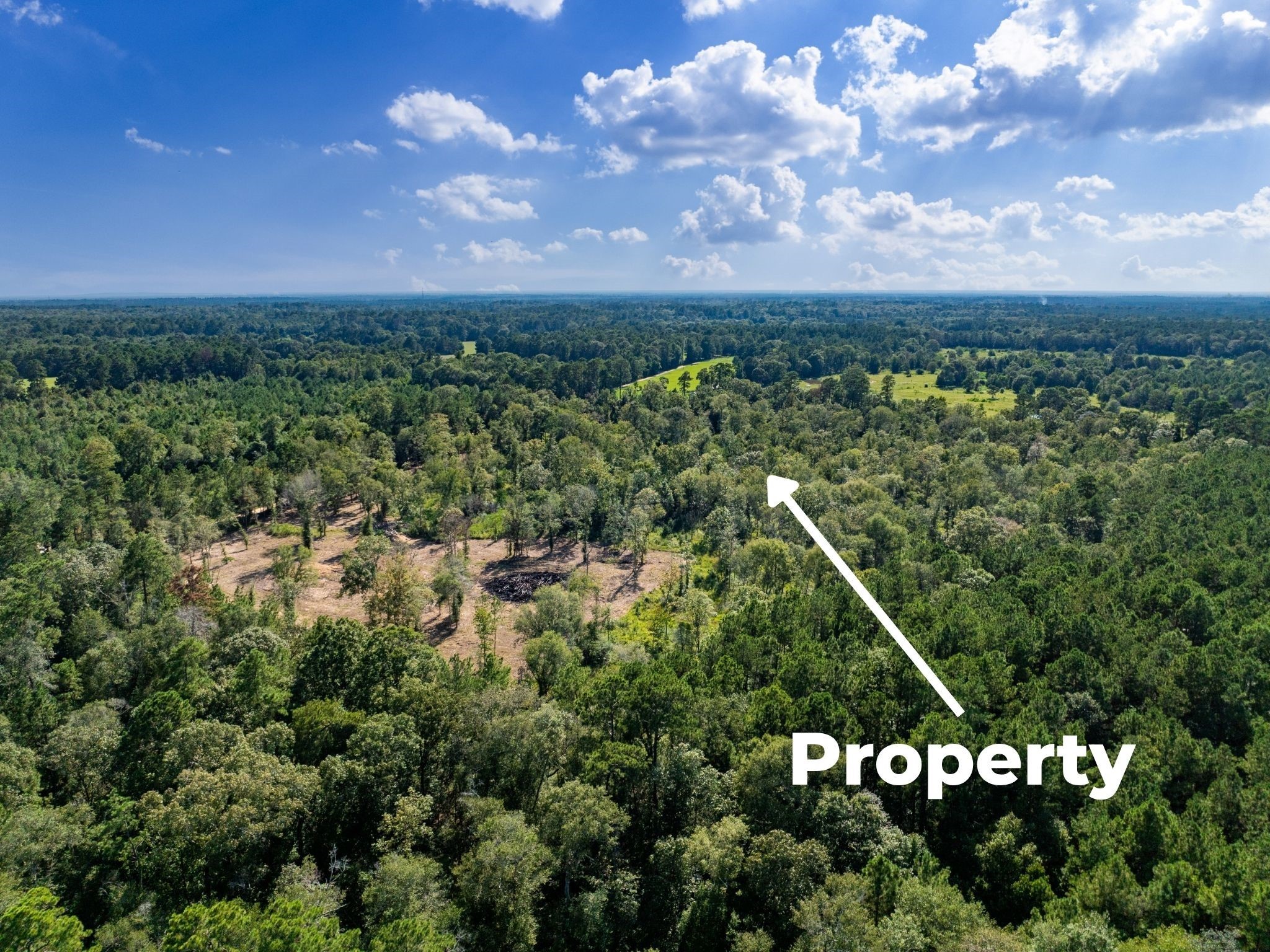 262 Maze Road Livingston TX 77351