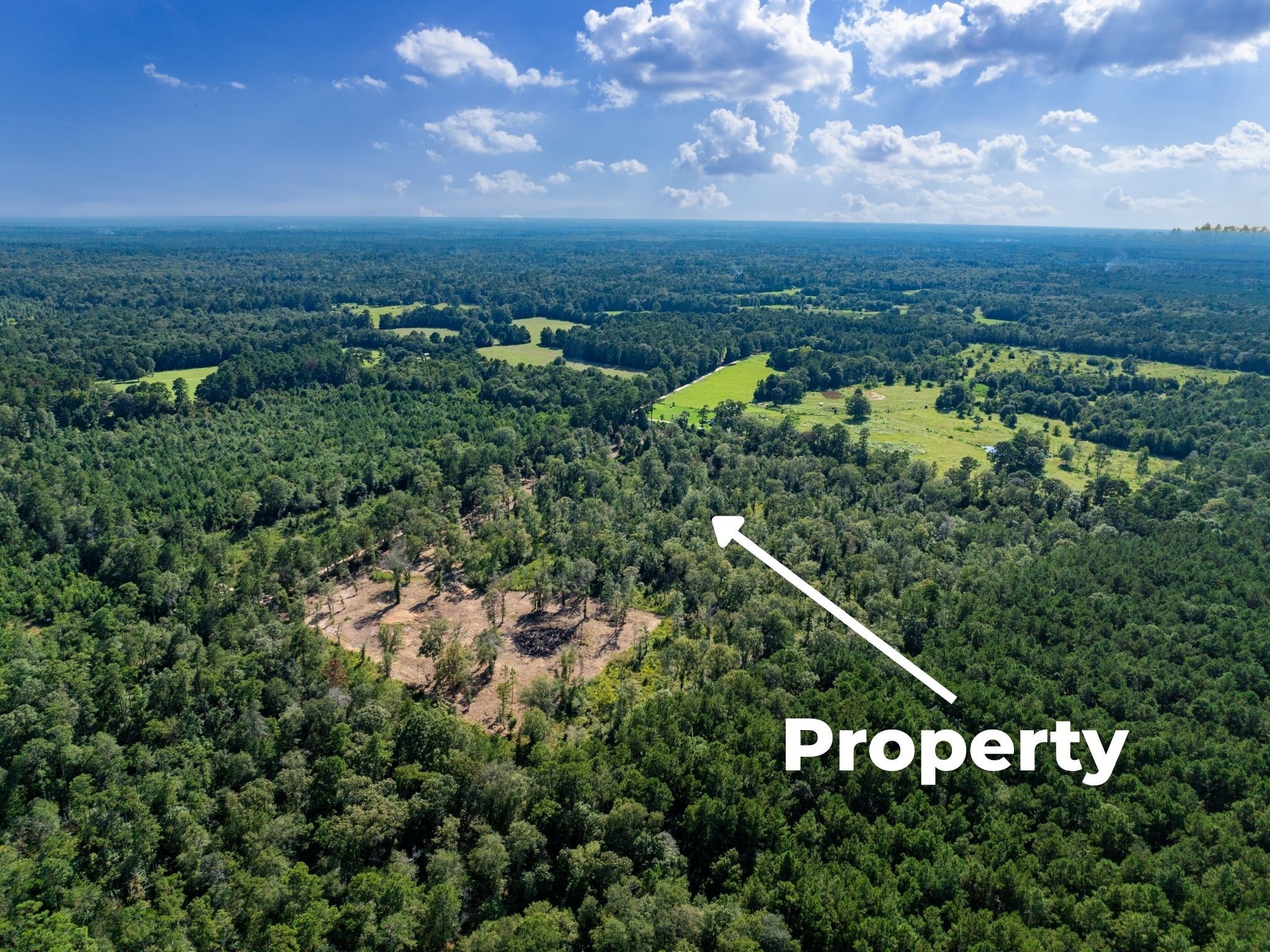 262 Maze Road Livingston TX 77351