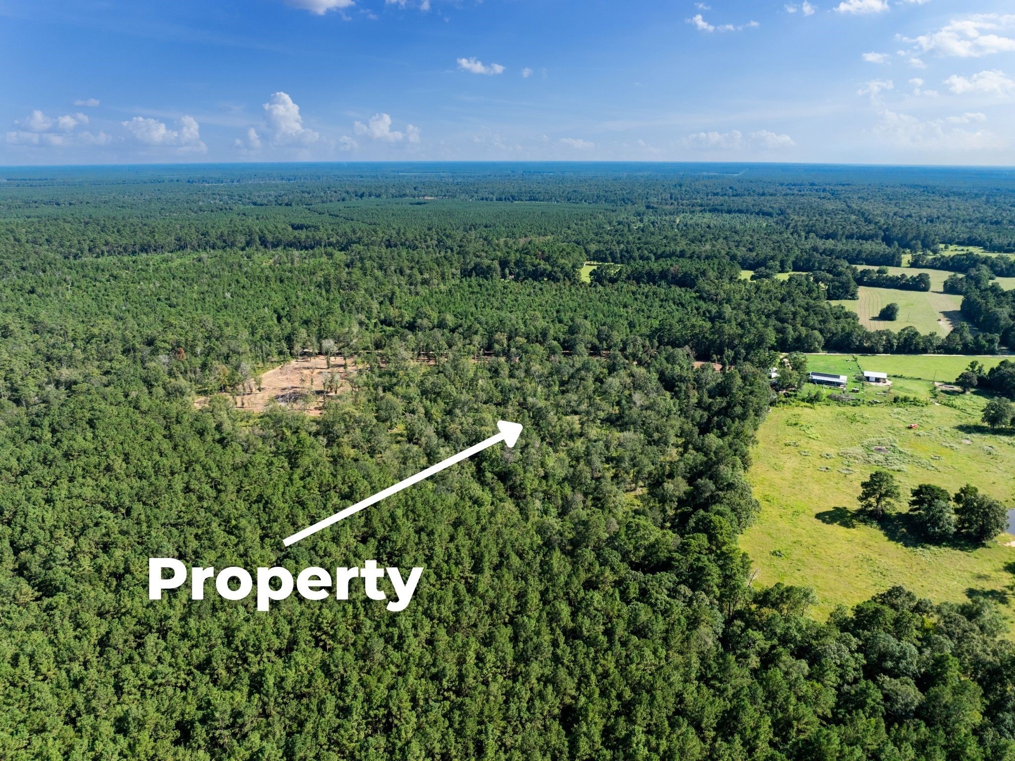 262 Maze Road Livingston TX 77351