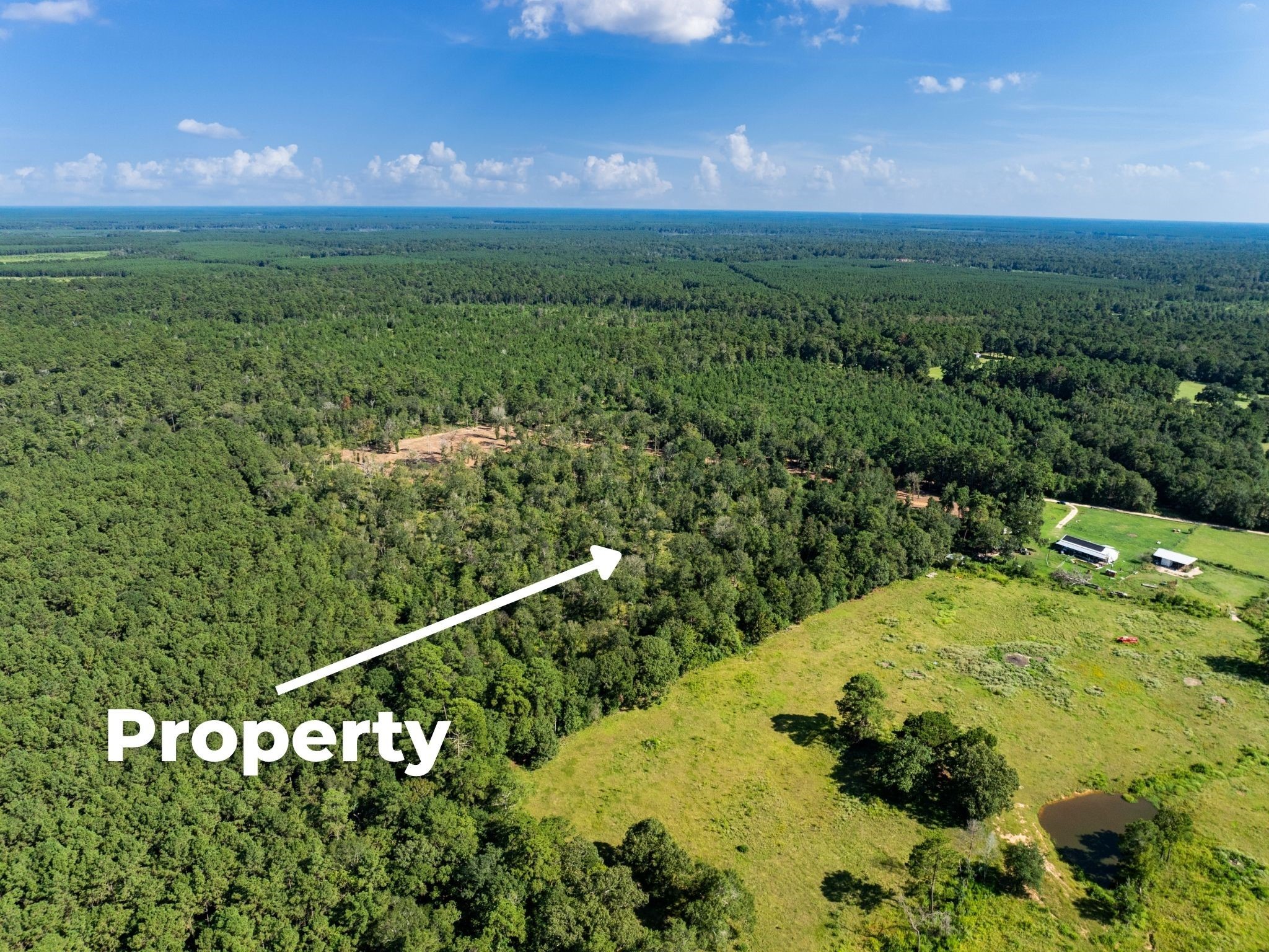 262 Maze Road Livingston TX 77351
