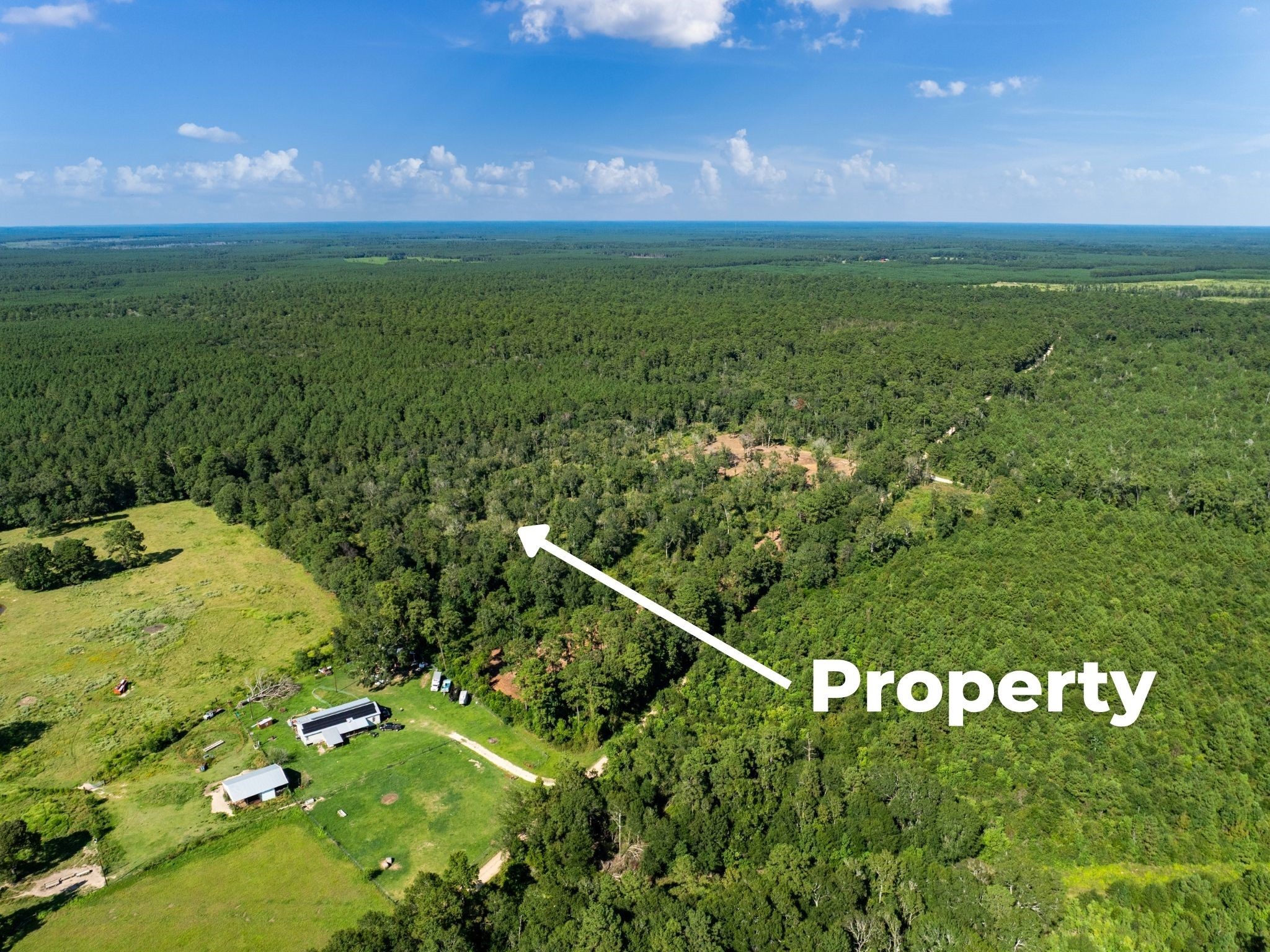 262 Maze Road Livingston TX 77351