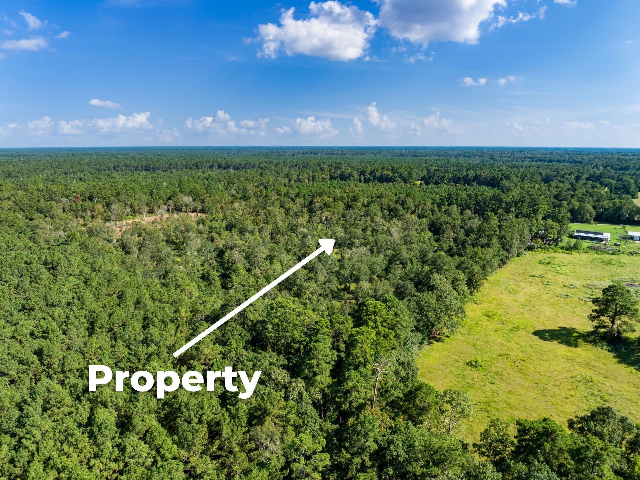 262 Maze Road Livingston TX 77351