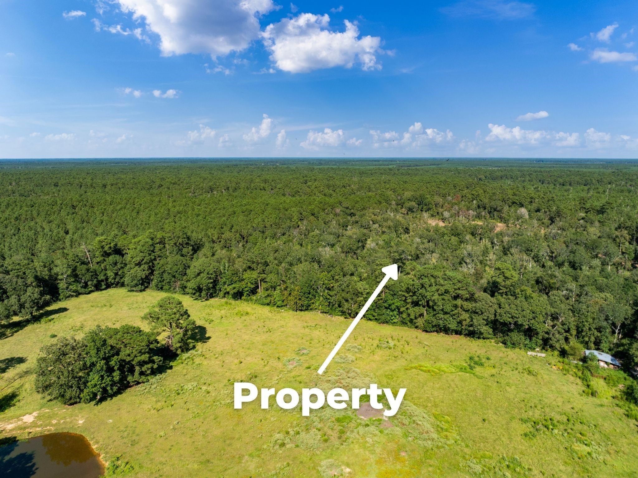 262 Maze Road Livingston TX 77351