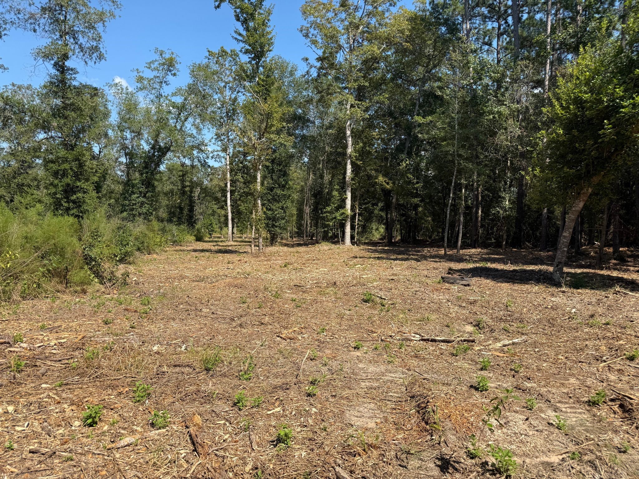 262 Maze Road Livingston TX 77351