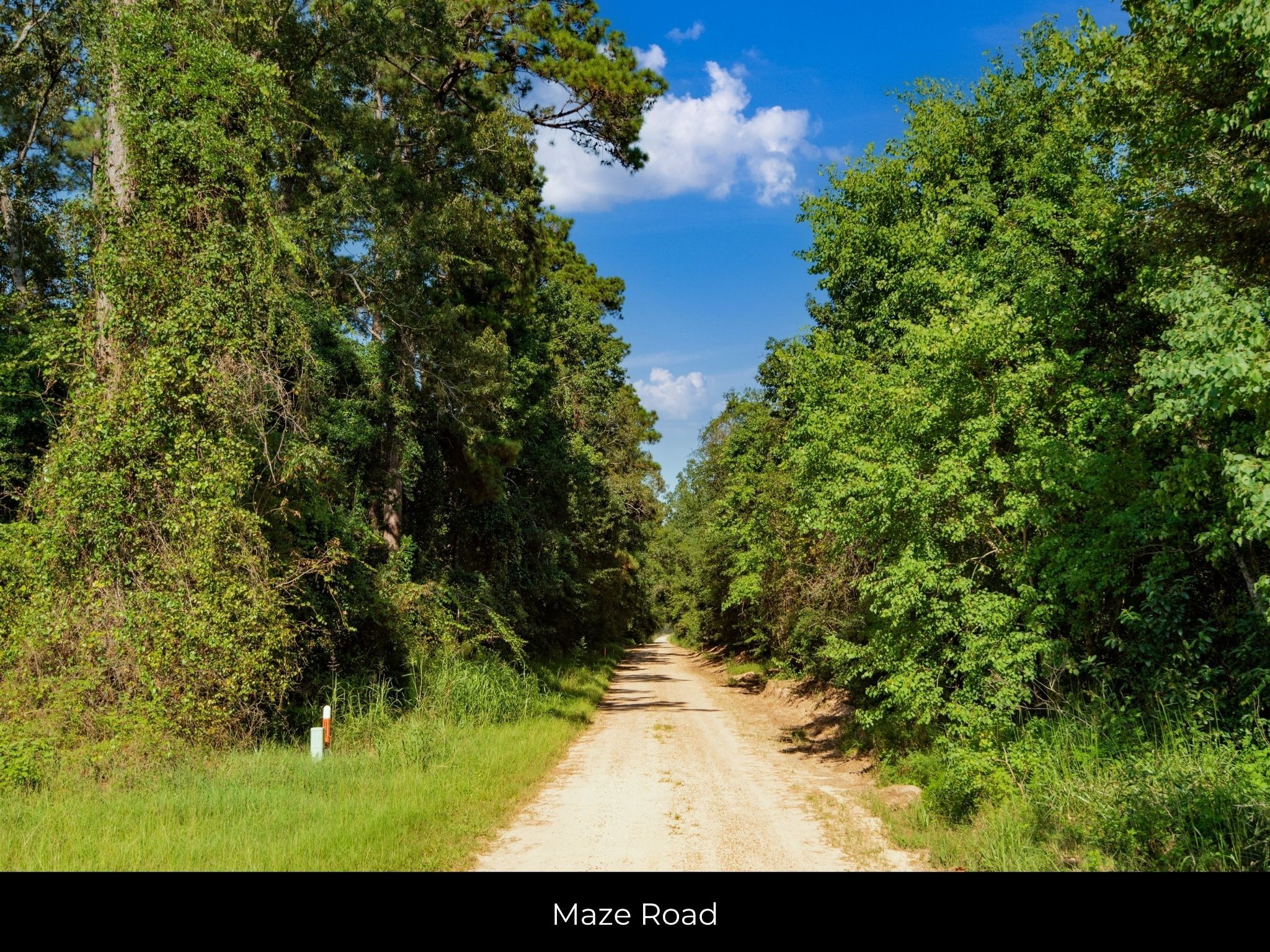 262 Maze Road Livingston TX 77351