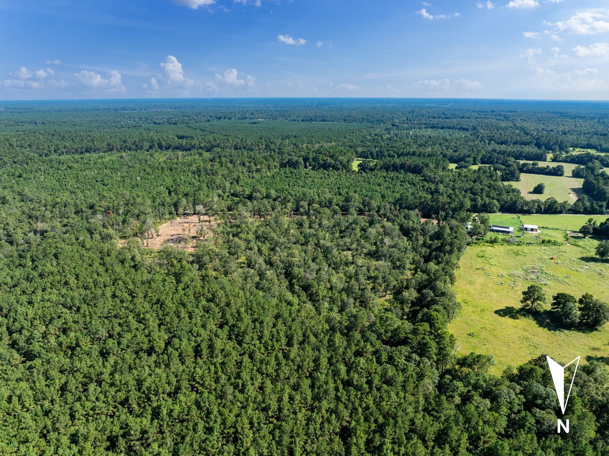 262 Maze Road Livingston TX 77351