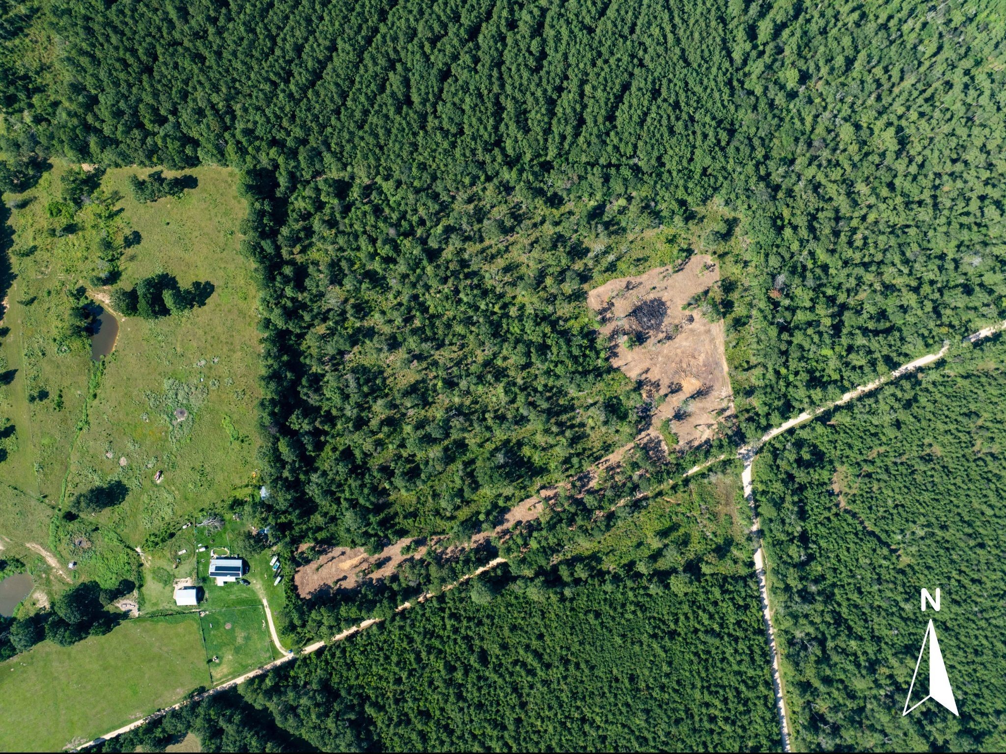 262 Maze Road Livingston TX 77351