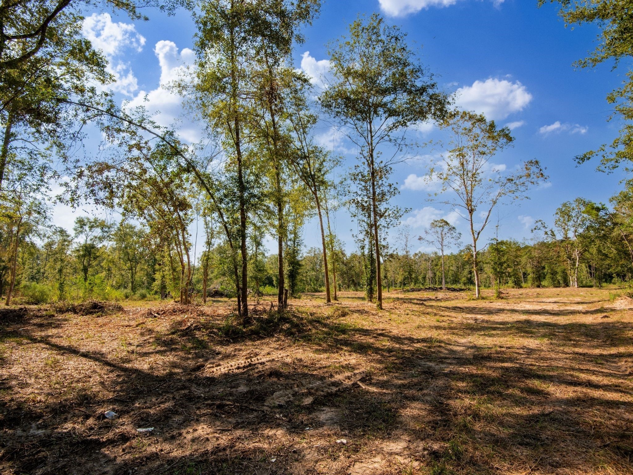 262 Maze Road Livingston TX 77351