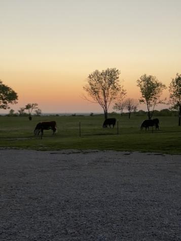690 Mcconnell Road Gunter TX 75058
