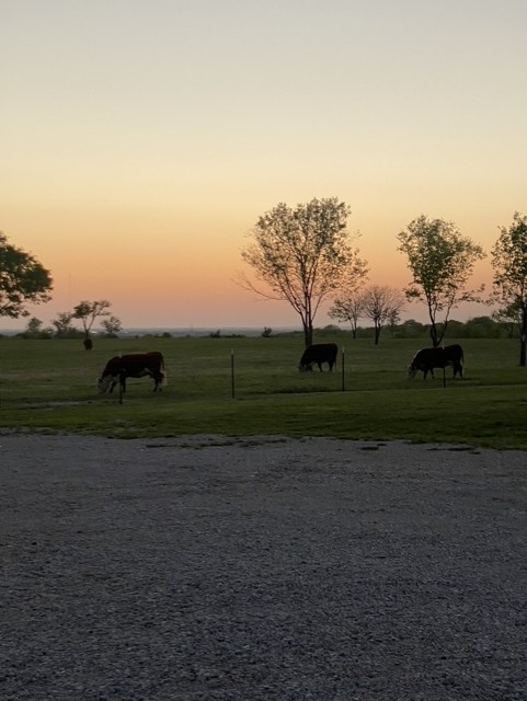 690 Mcconnell Road Gunter TX 75058