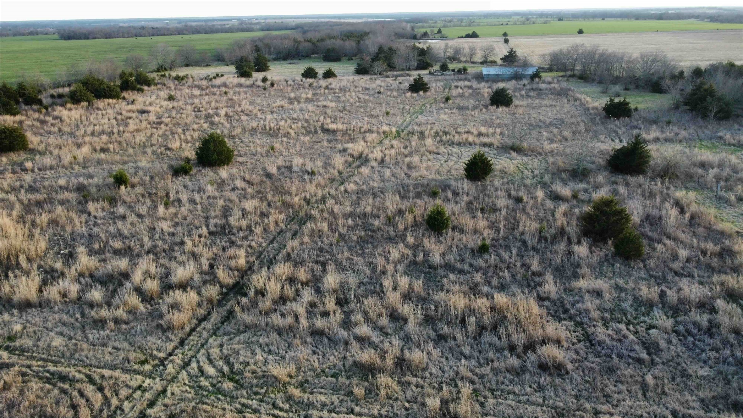 Tbd Lot 7 County Road 3425 Honey Grove TX 75446