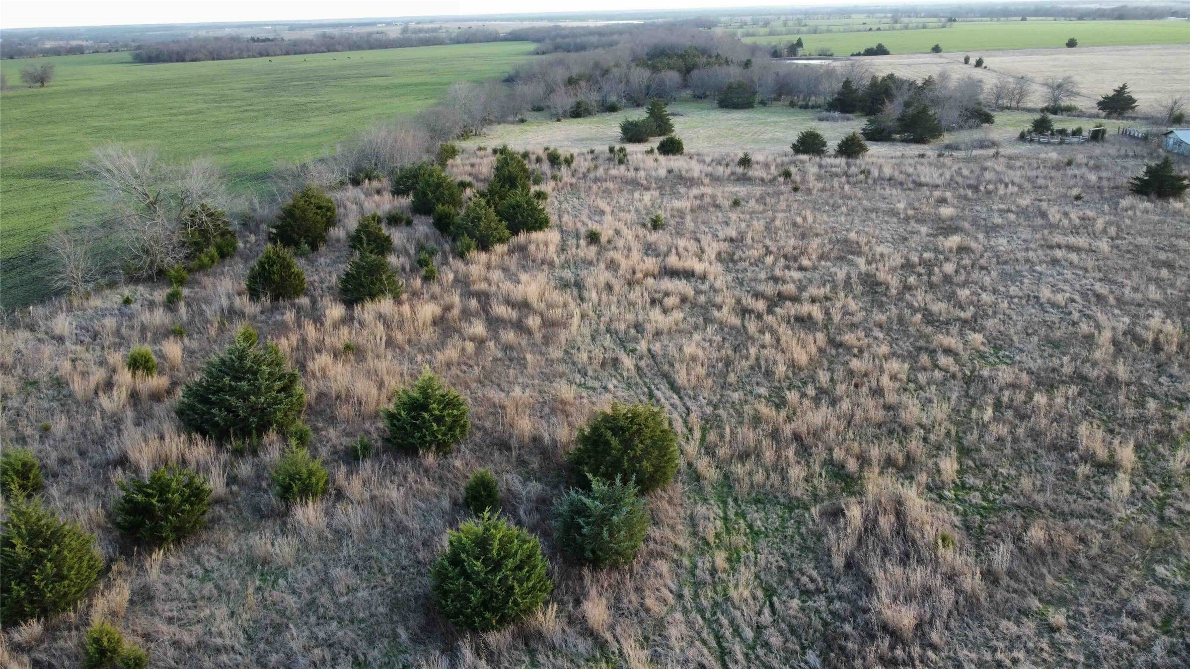 Tbd Lot 7 County Road 3425 Honey Grove TX 75446