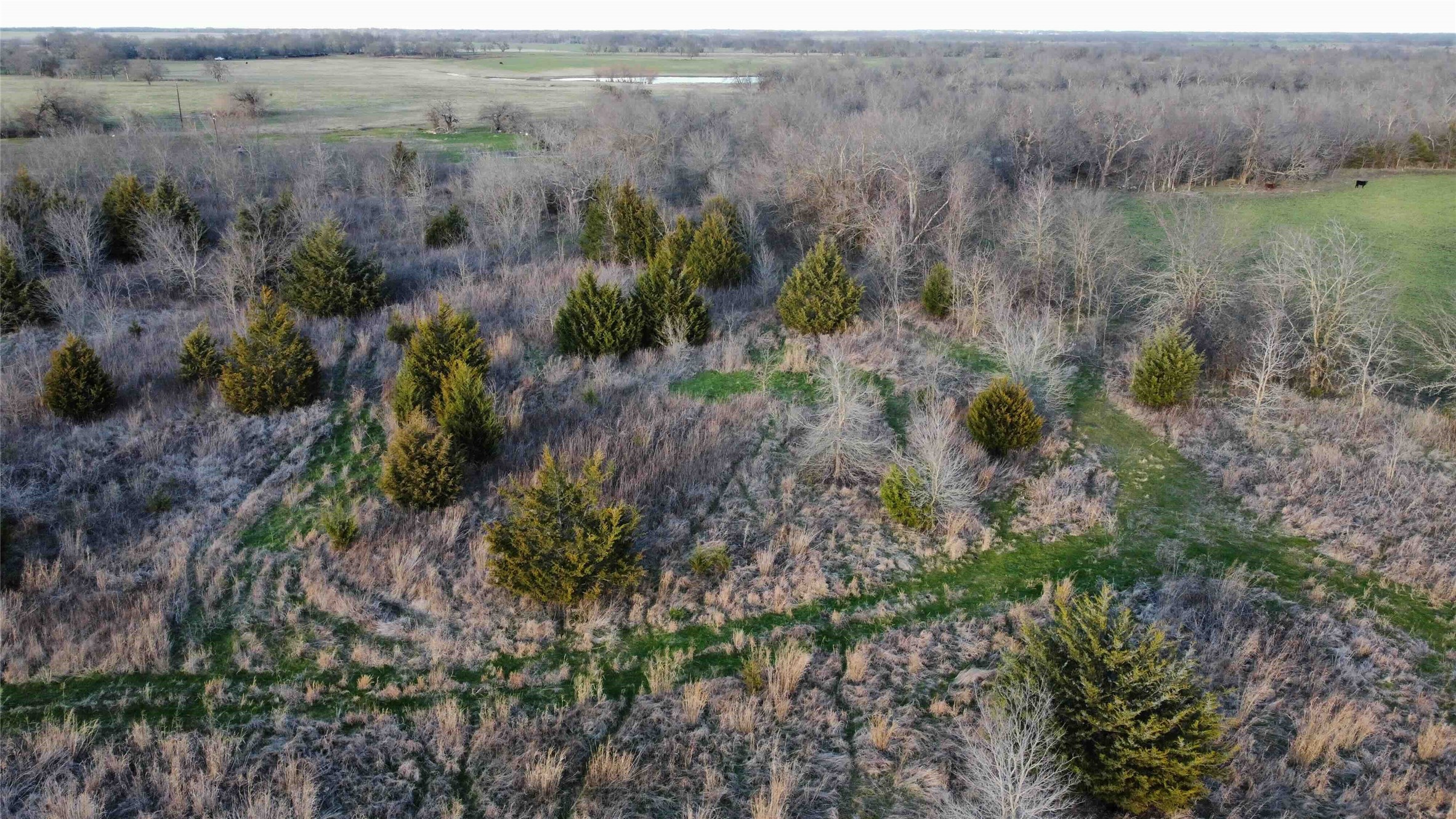 Tbd Lot 7 County Road 3425 Honey Grove TX 75446