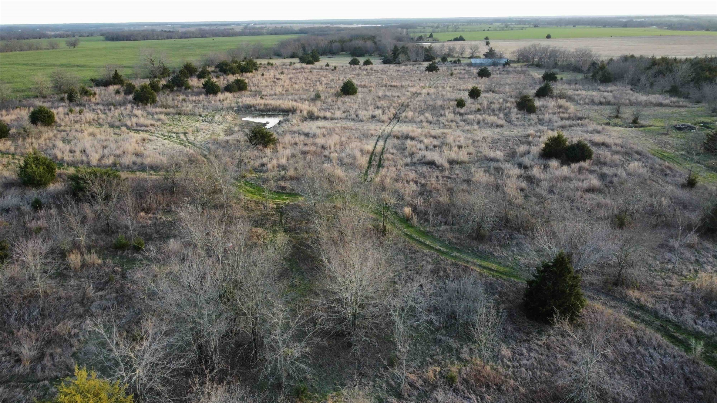 Tbd Lot 7 County Road 3425 Honey Grove TX 75446