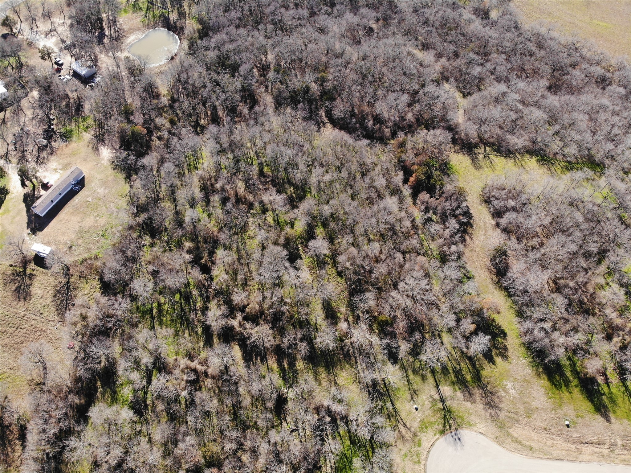 Lot 11 Diamond Point Corsicana TX 75109