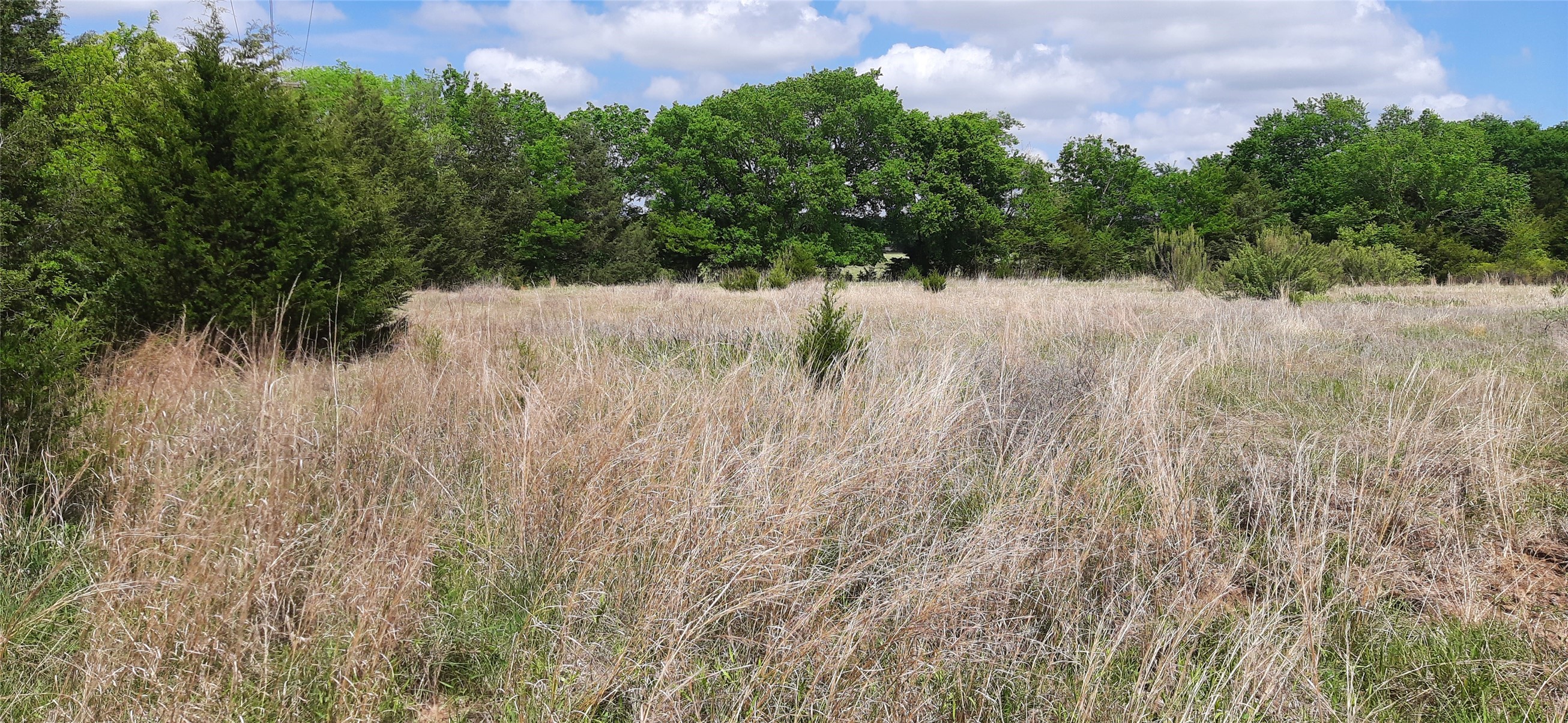 Tbd County Road 2644 Decatur TX 76234
