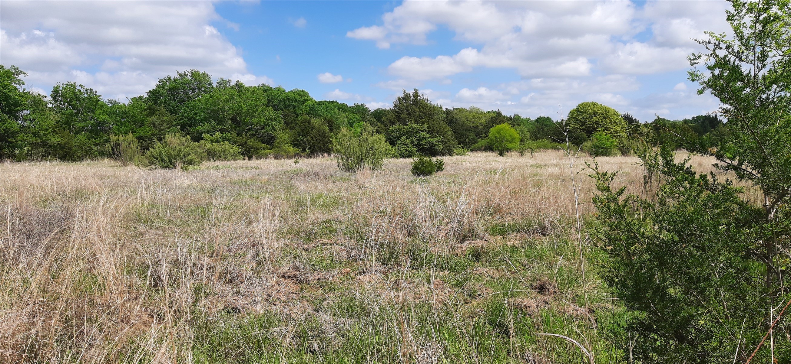 Tbd County Road 2644 Decatur TX 76234