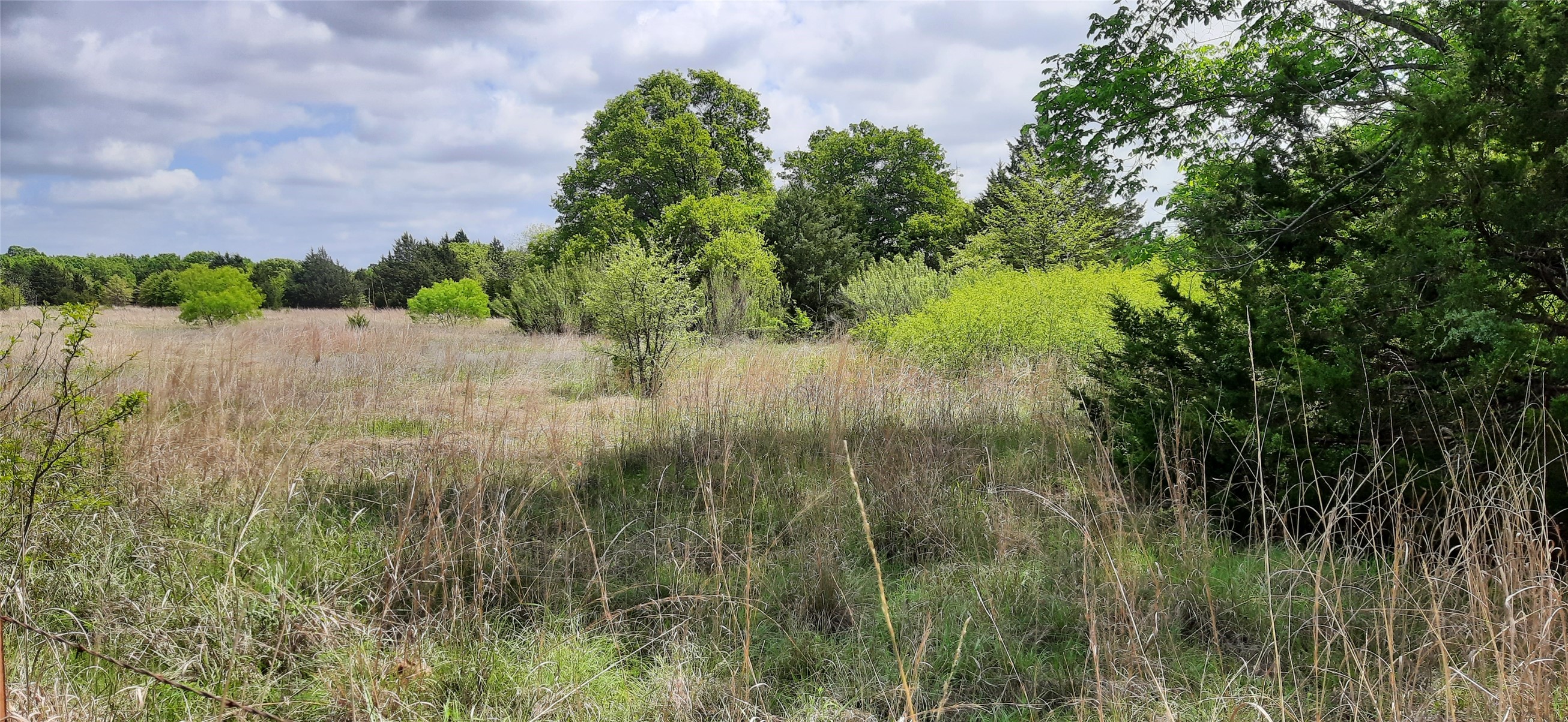 Tbd County Road 2644 Decatur TX 76234