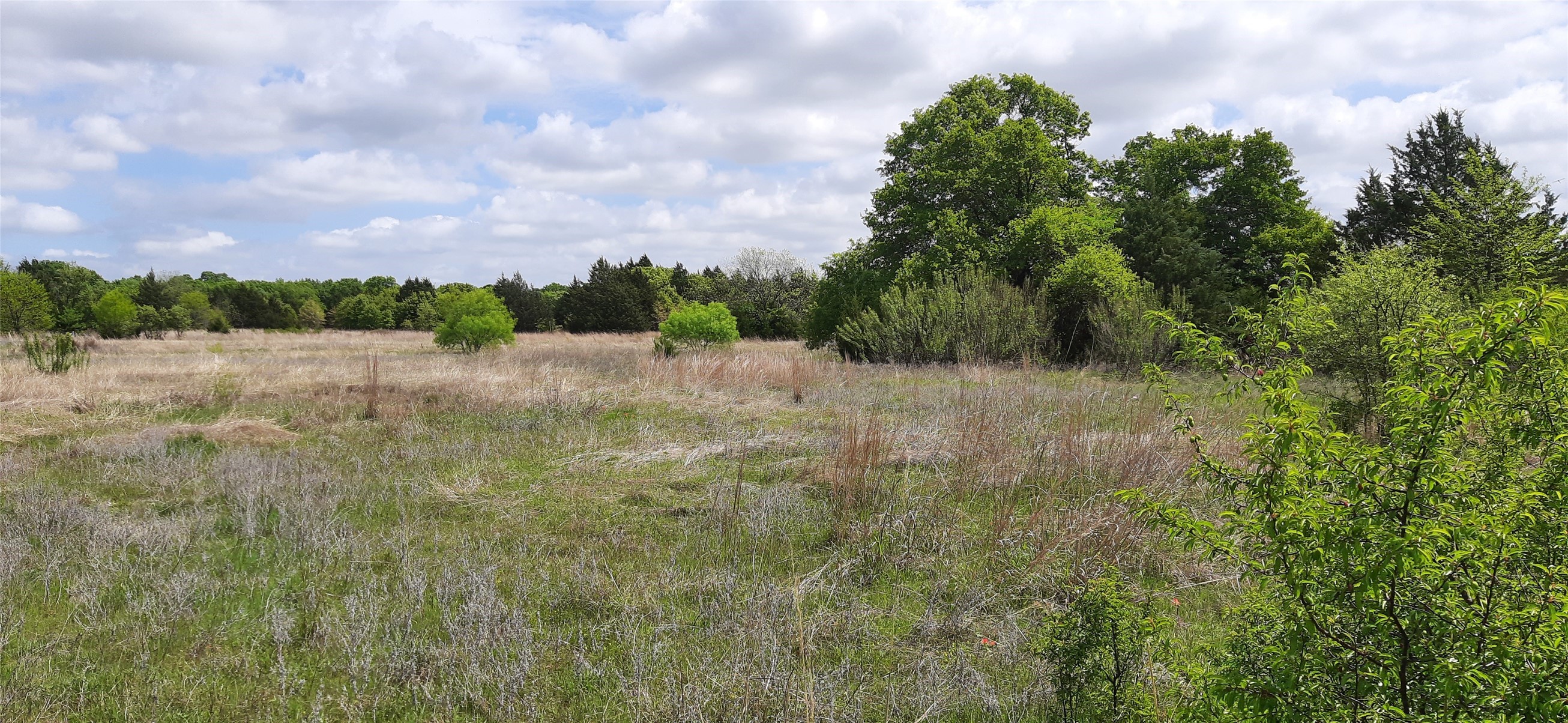 Tbd County Road 2644 Decatur TX 76234