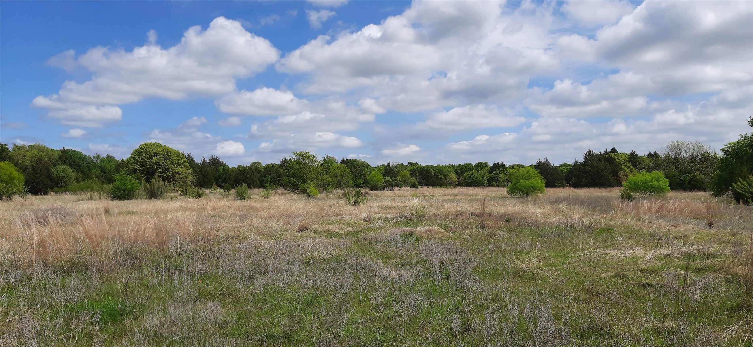 Tbd County Road 2644 Decatur TX 76234