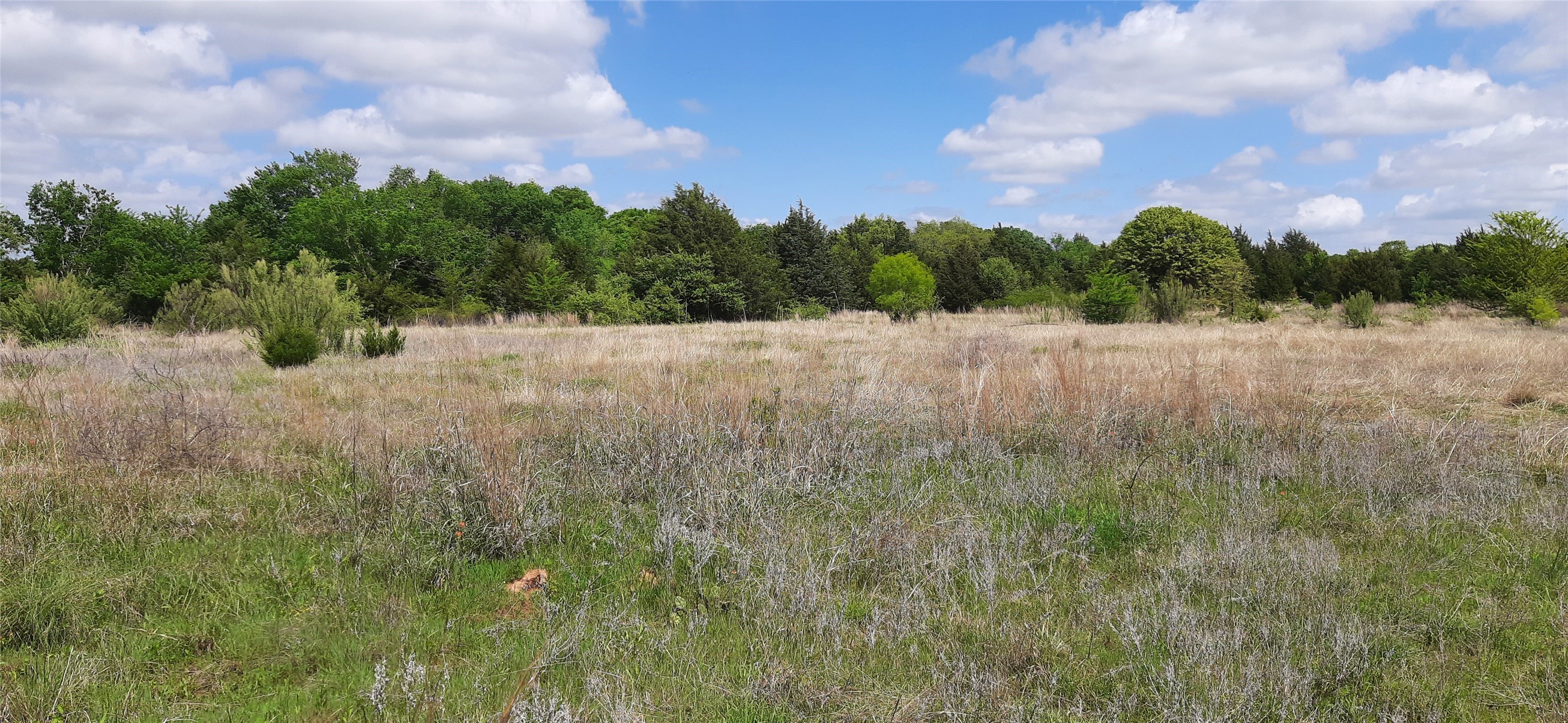 Tbd County Road 2644 Decatur TX 76234
