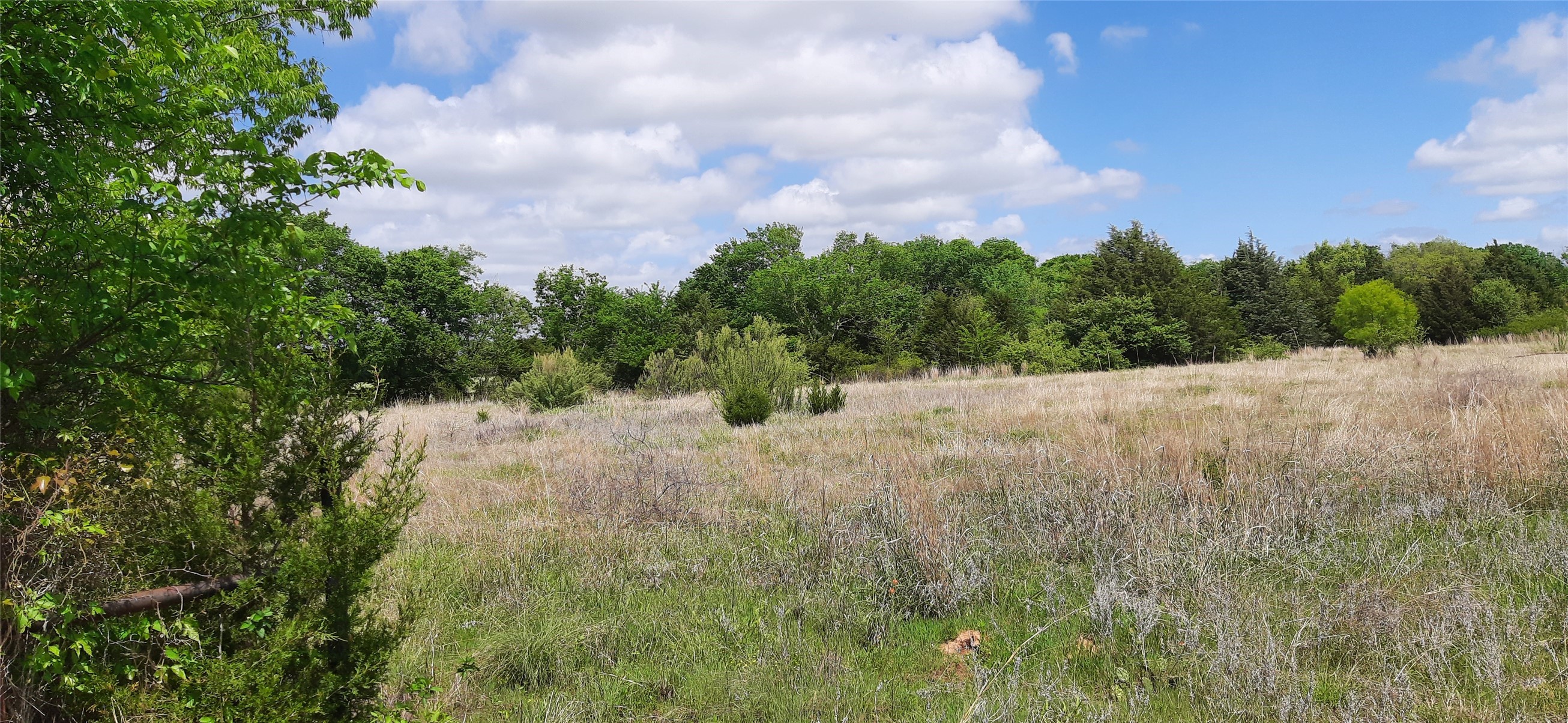 Tbd County Road 2644 Decatur TX 76234