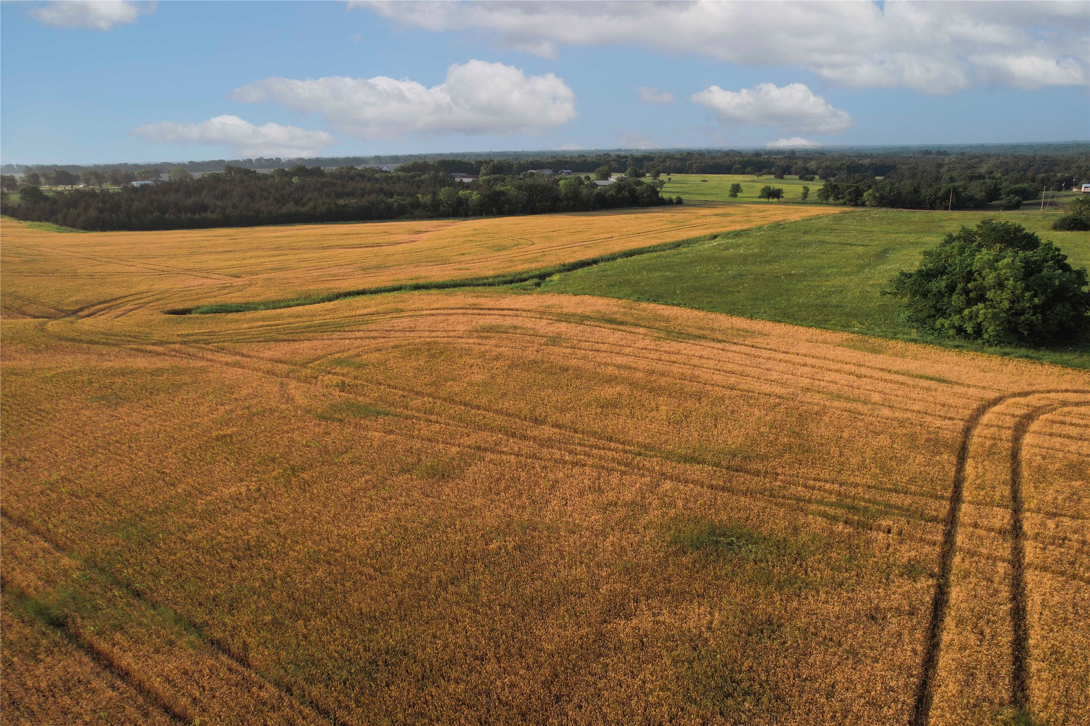 Tdb Fm-137 Roxton TX 75477