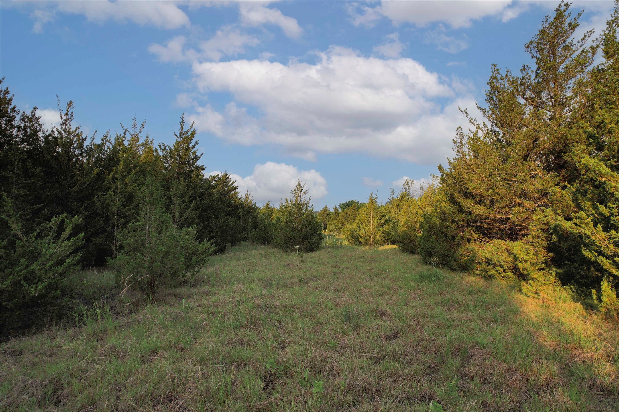 Tdb Fm-137 Roxton TX 75477