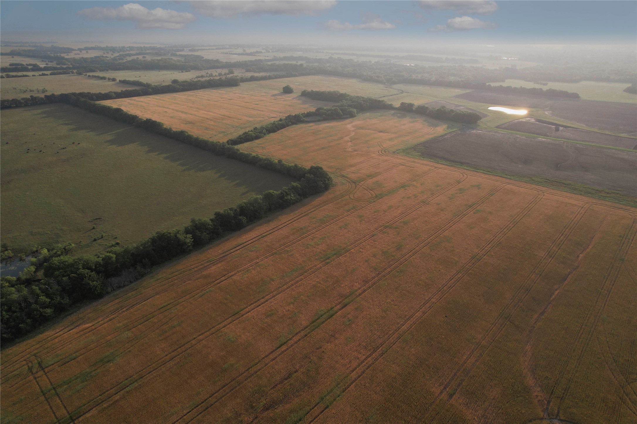 Tdb Fm-137 Roxton TX 75477
