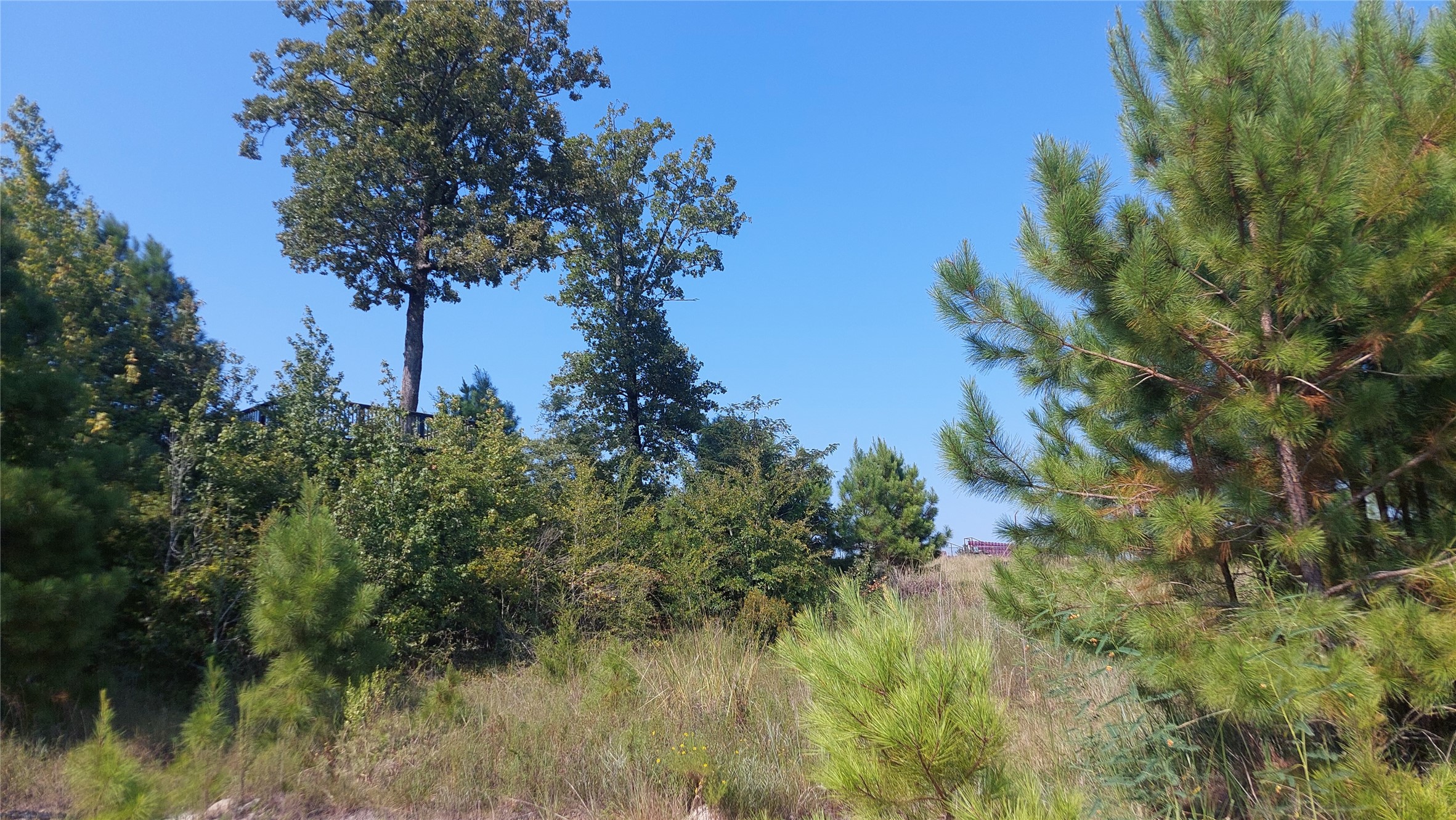 92AC County Road 4171 Maud TX 75567