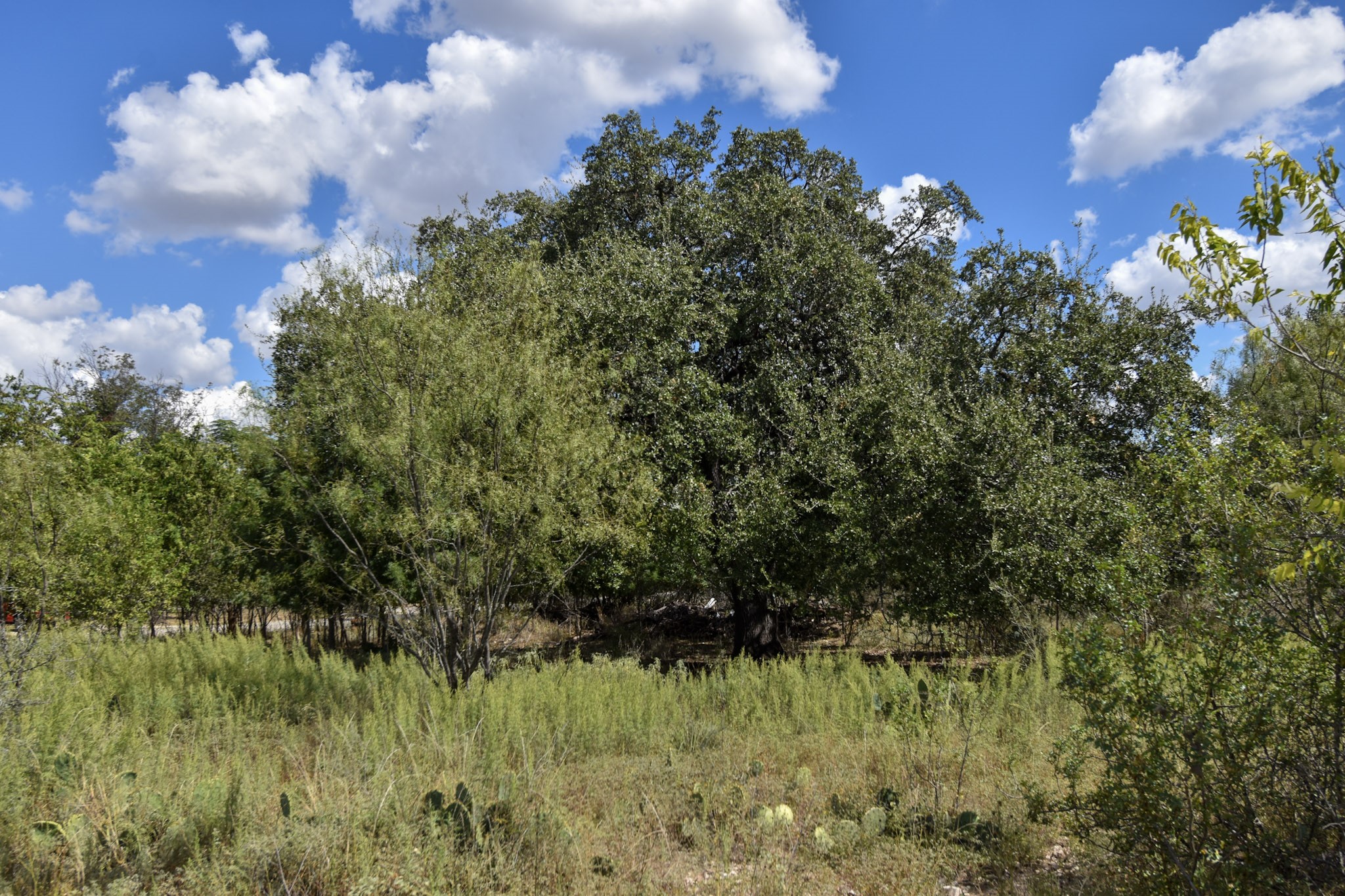 904 E 6th Brady TX 76825