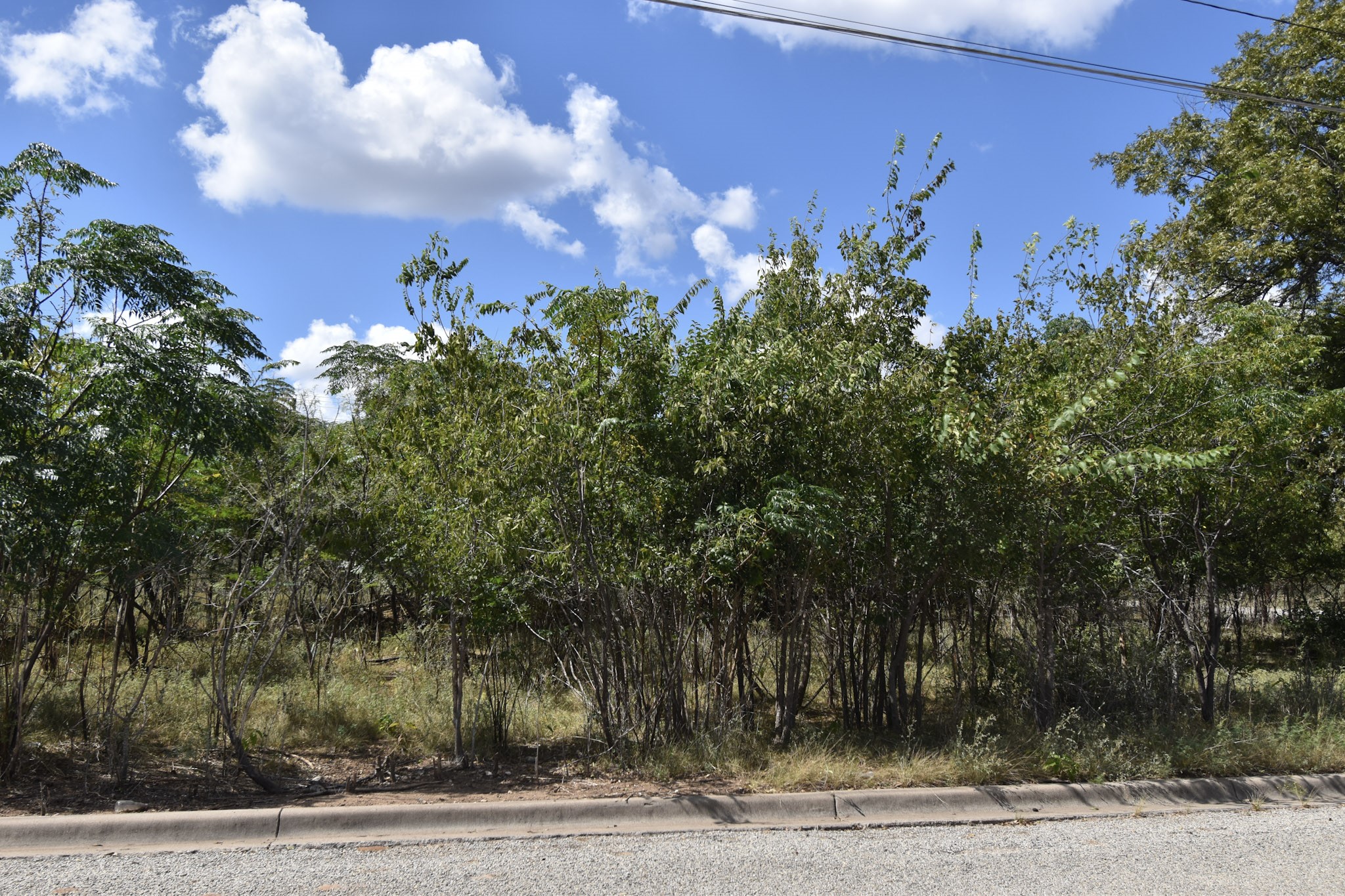 904 E 6th Brady TX 76825