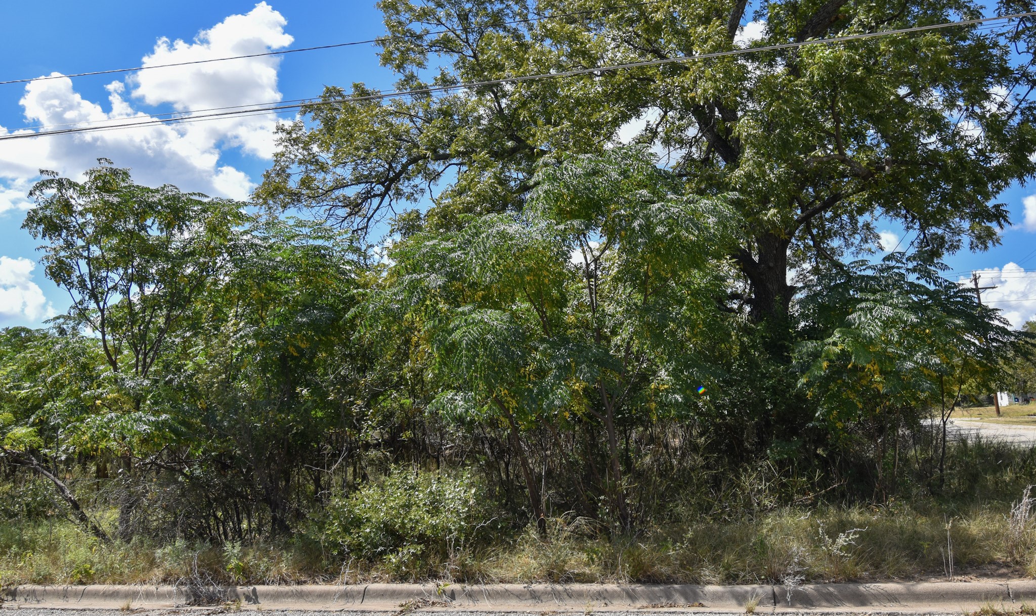 904 E 6th Brady TX 76825