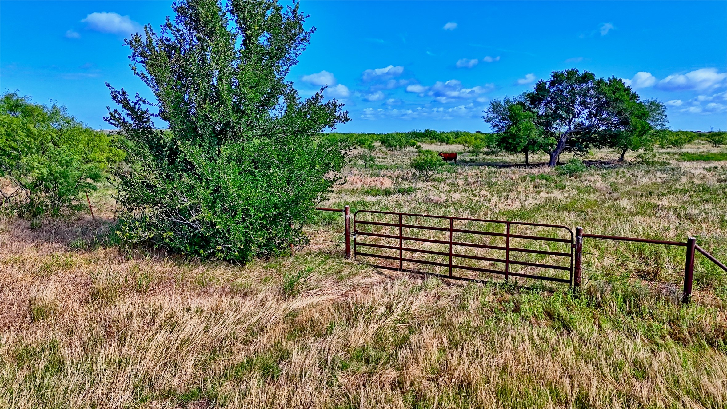 576 Seabourn Road Henrietta TX 76365