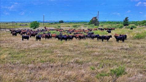 576 Seabourn Road Henrietta TX 76365