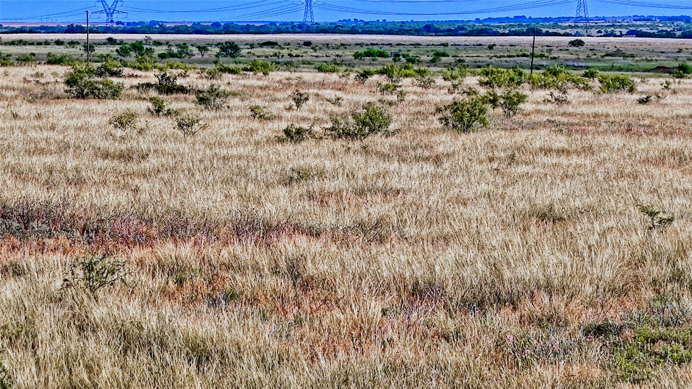 576 Seabourn Road Henrietta TX 76365