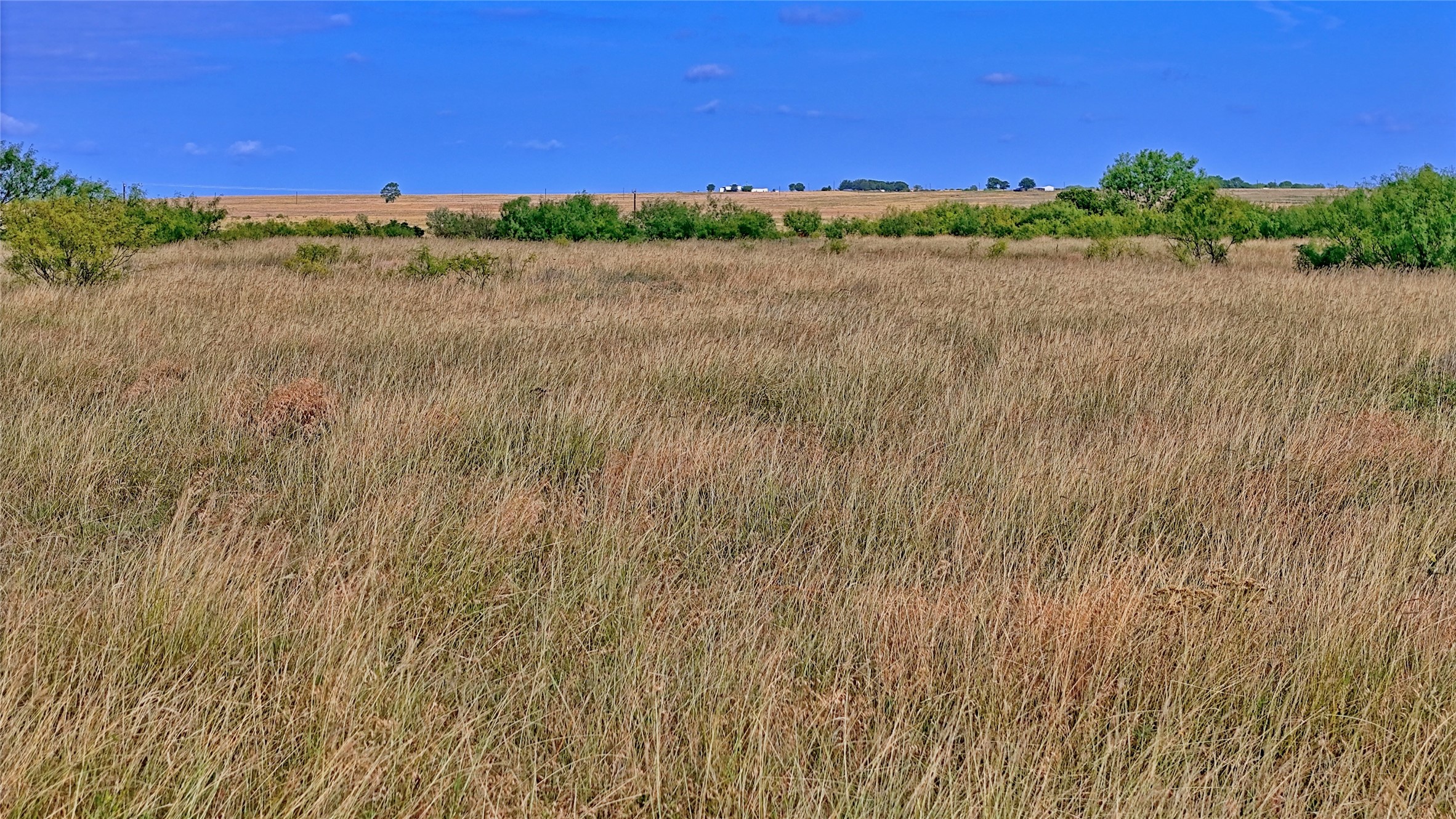 576 Seabourn Road Henrietta TX 76365
