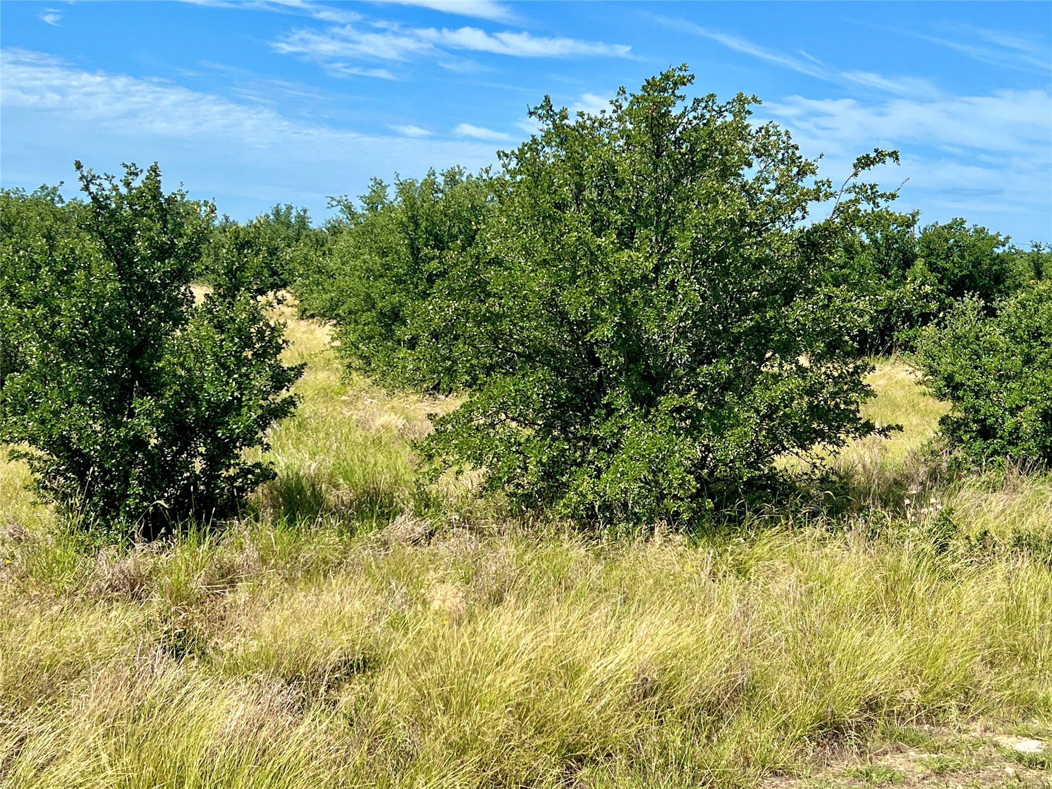 1180 Rawhide Ridge Lipan TX 76449