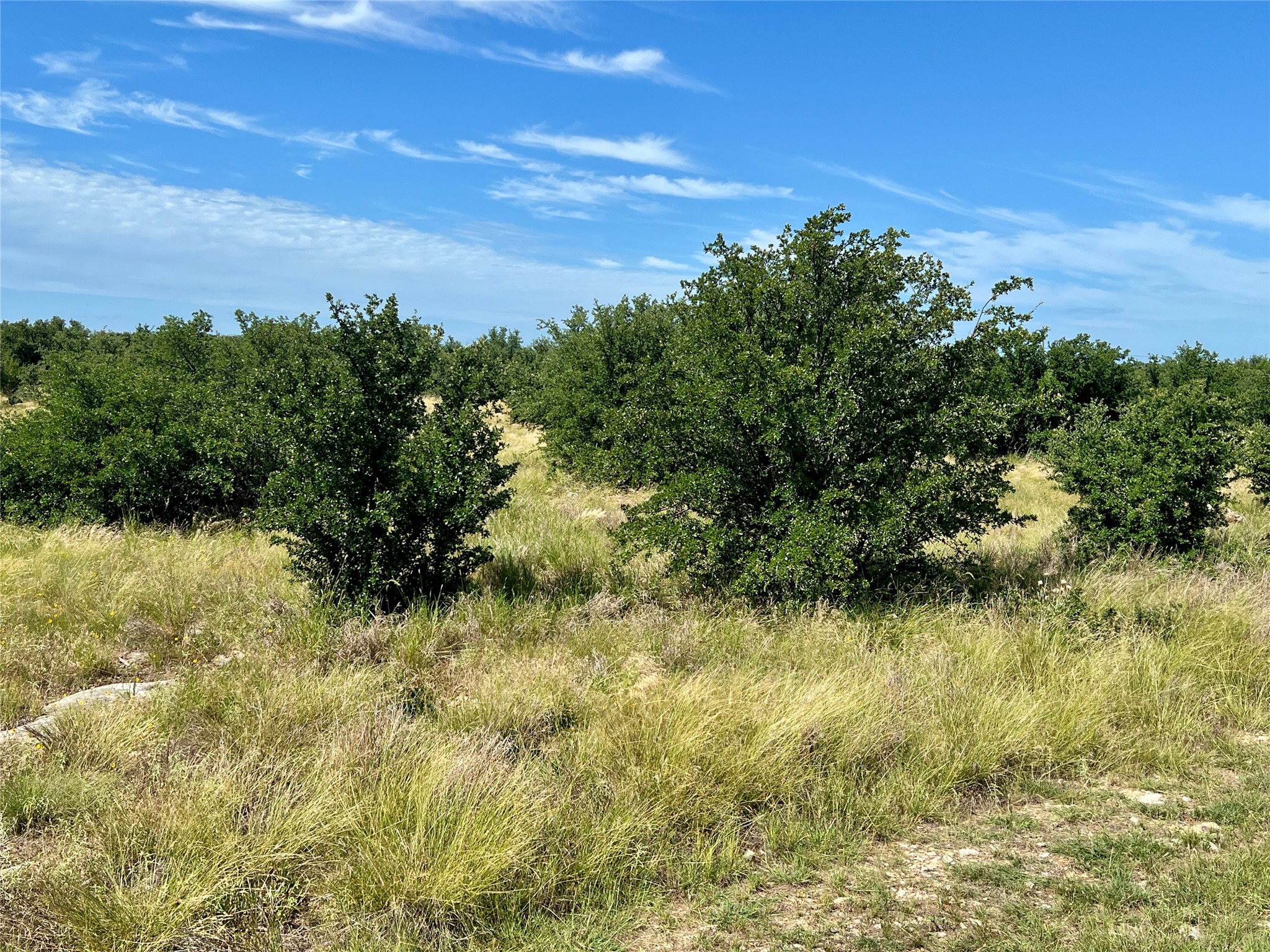 1180 Rawhide Ridge Lipan TX 76449