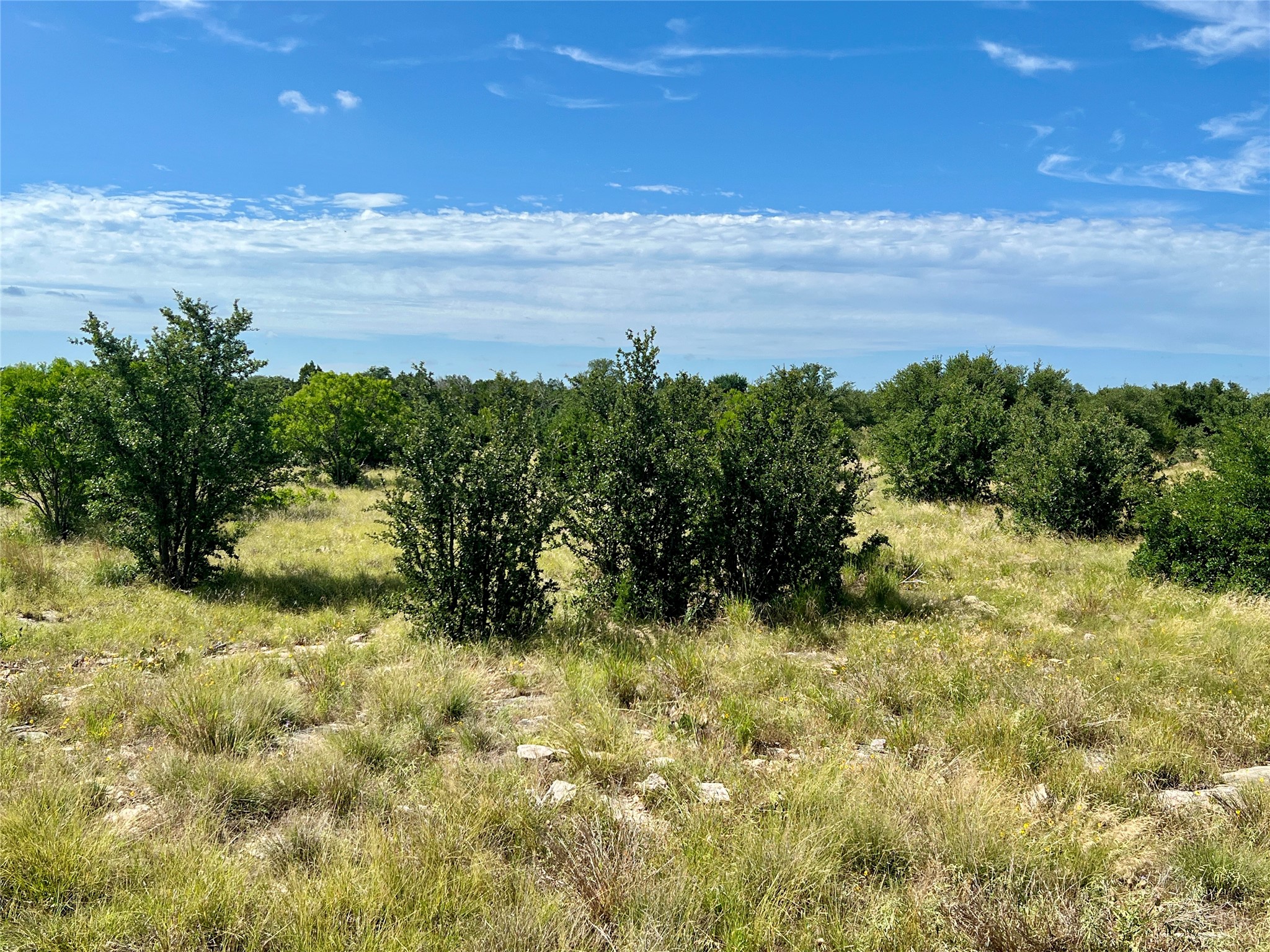 1180 Rawhide Ridge Graford TX 76449