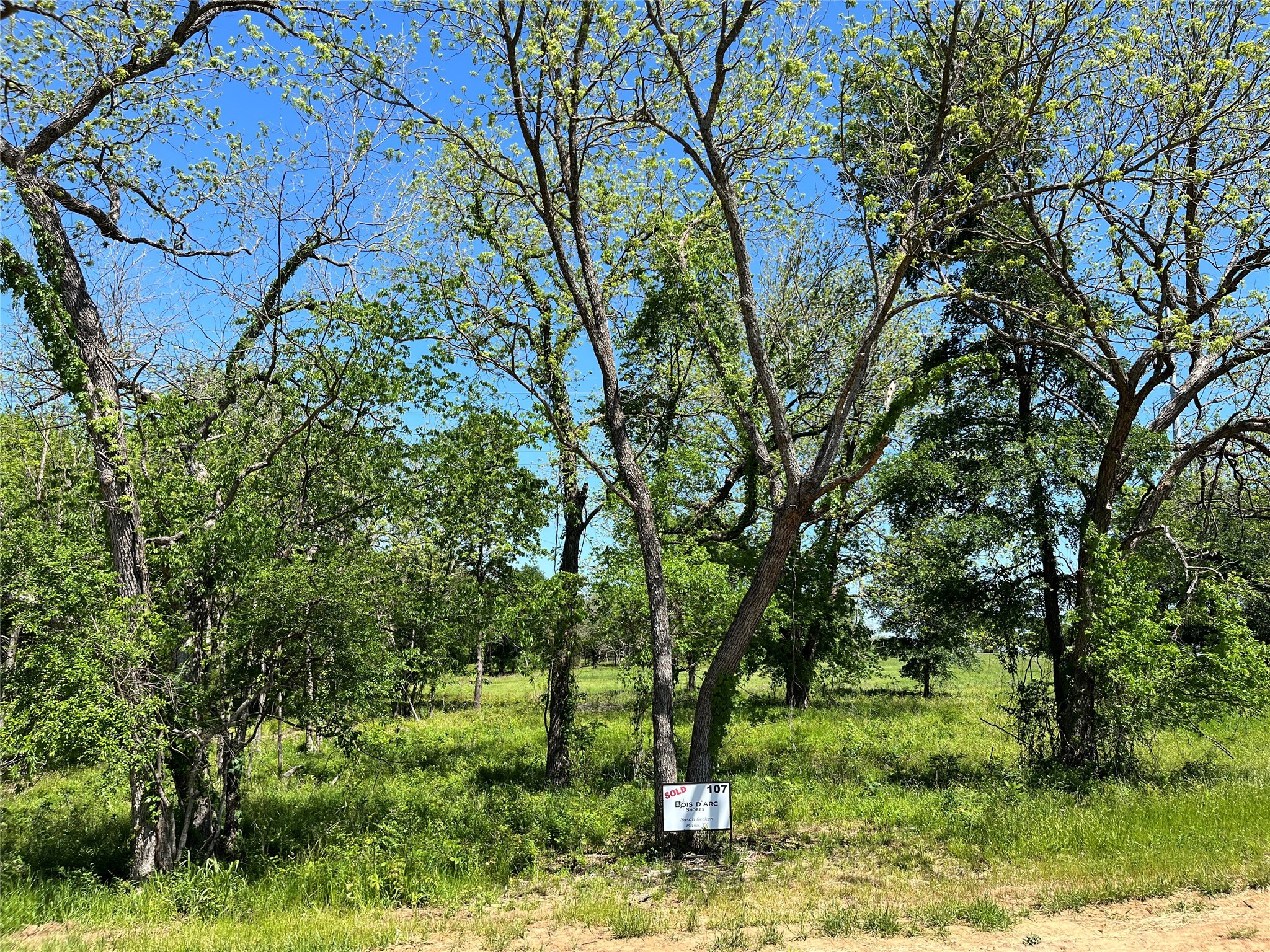 345 Wildflower Way Dodd City TX 75438
