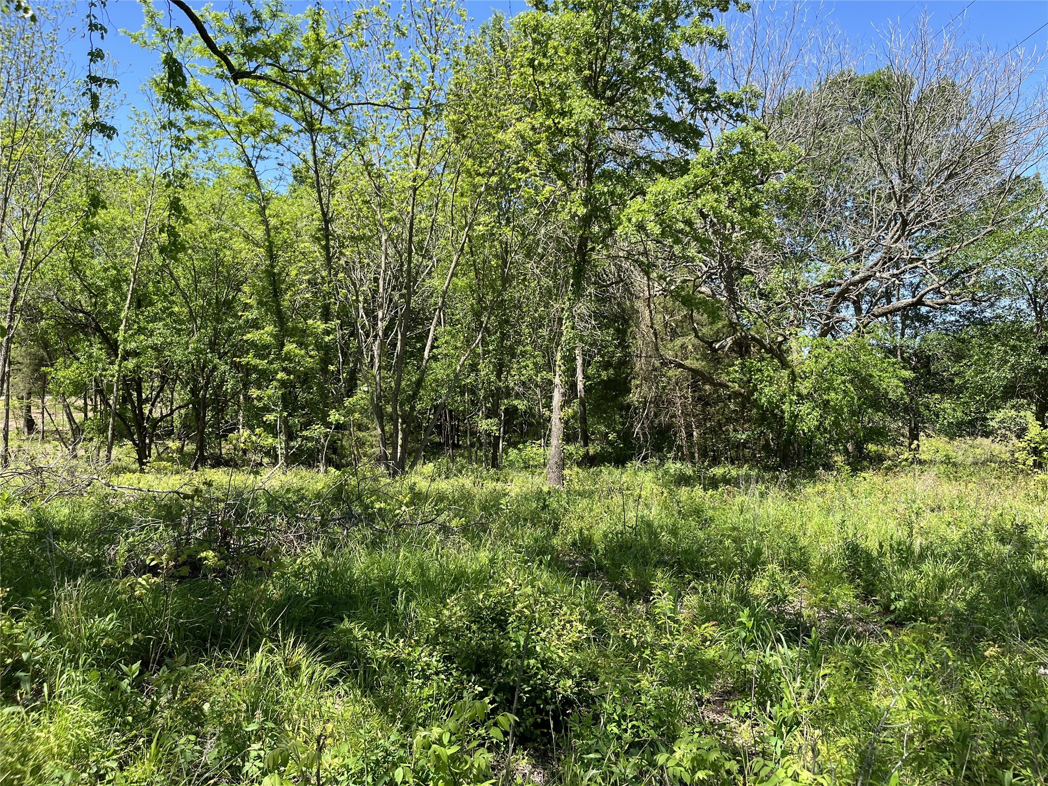 345 Wildflower Way Dodd City TX 75438