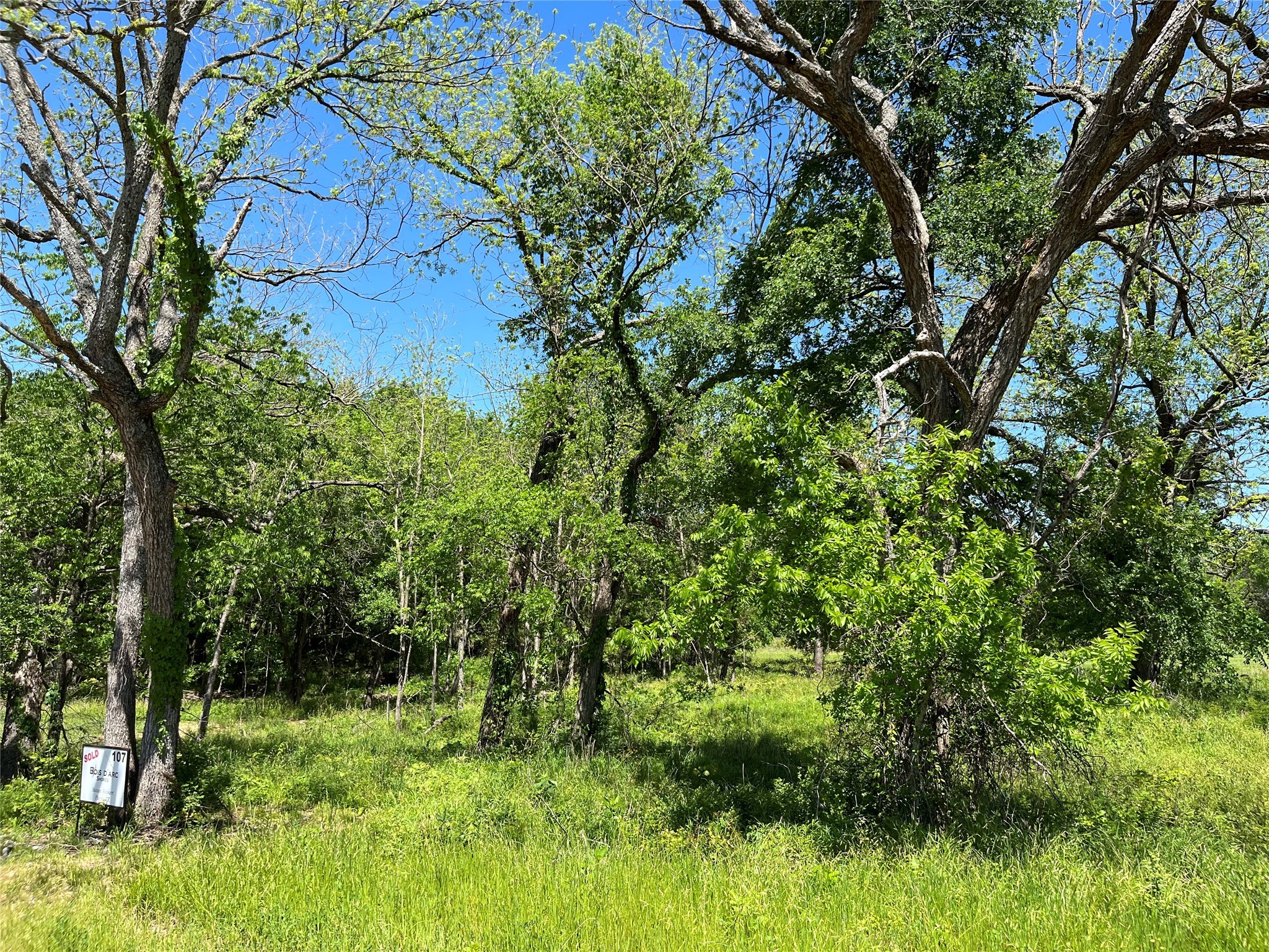 345 Wildflower Way Dodd City TX 75438