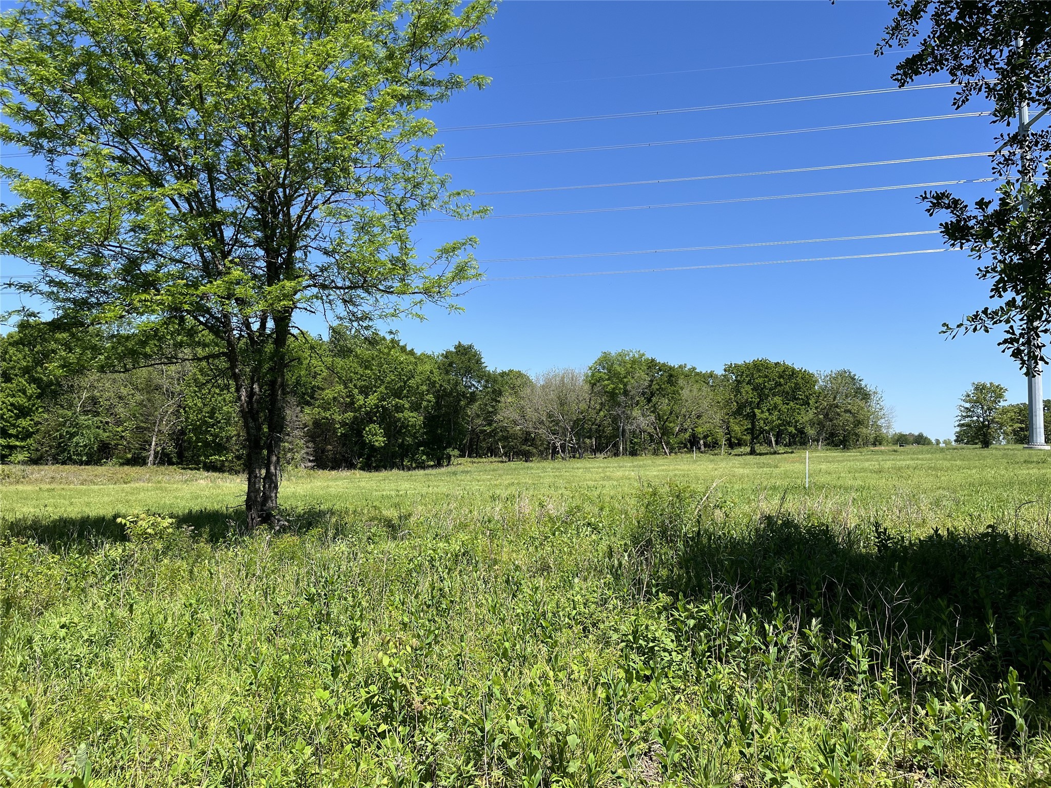 345 Wildflower Way Dodd City TX 75438