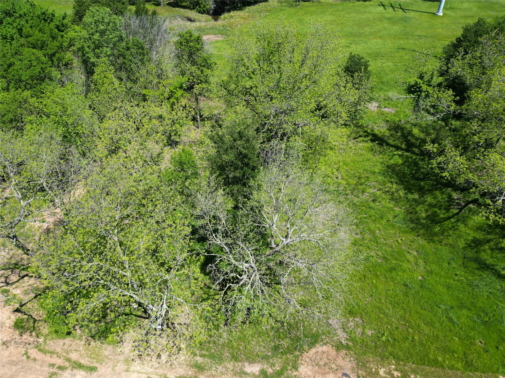 345 Wildflower Way Dodd City TX 75438