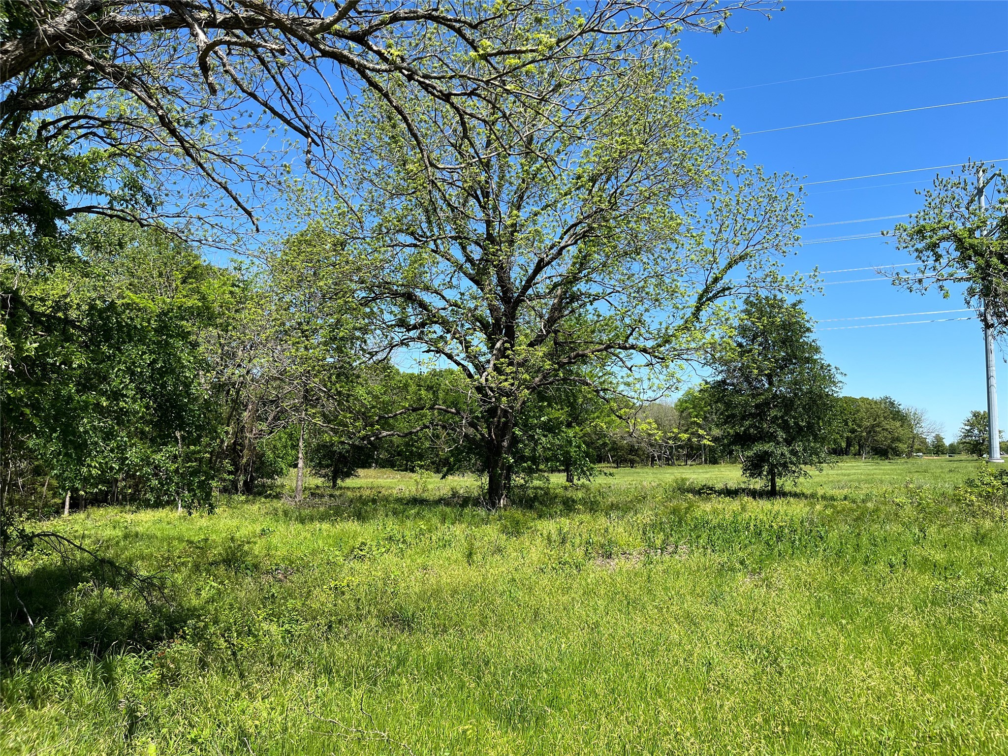 345 Wildflower Way Dodd City TX 75438